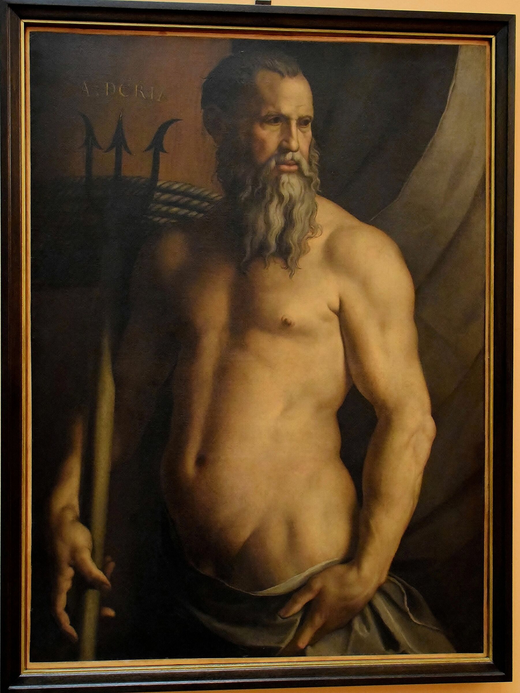 Art Gallery of Brera-Bronzino Andrea Doria as Neptune...