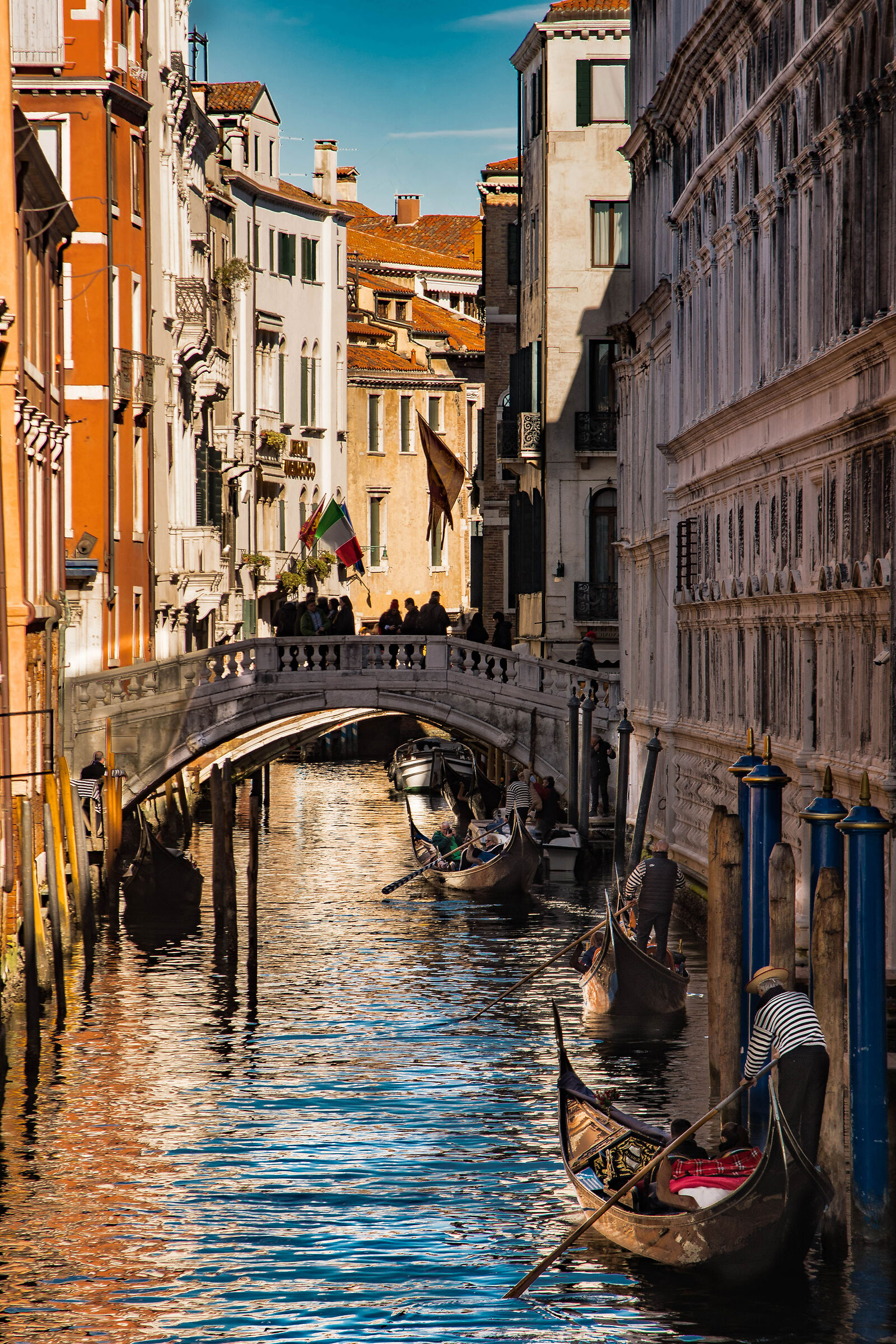 Semplicemente Venezia ......