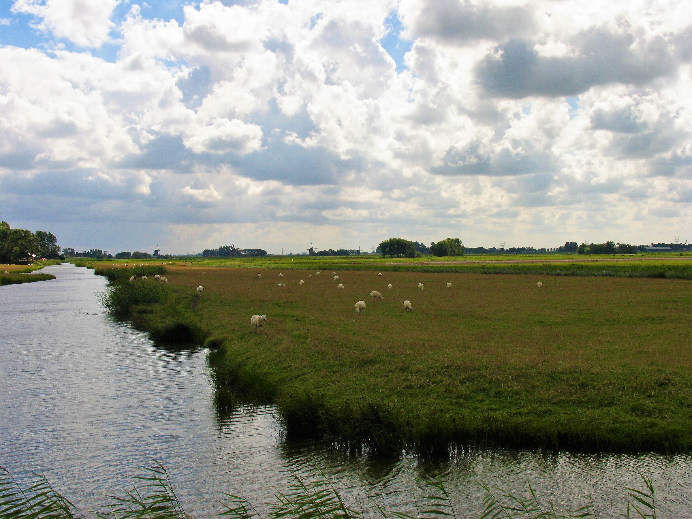 Netherlands: between water and sky...
