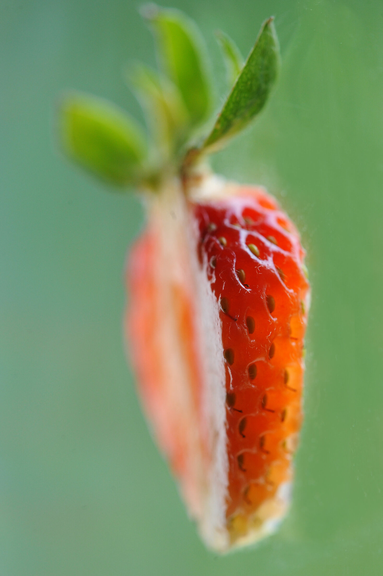 Strawberry!...