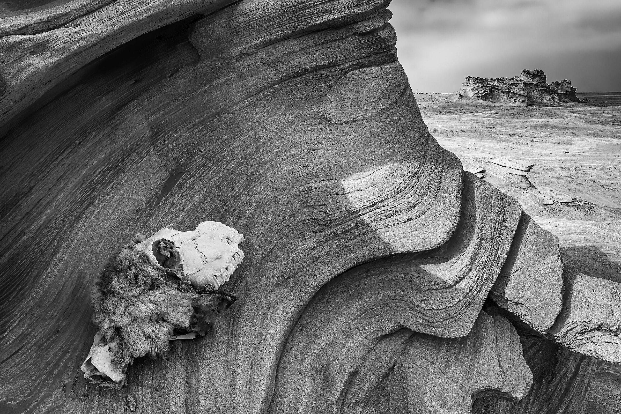 Dune Fossili di Al Whatba (Abu Dhabi - uae)...