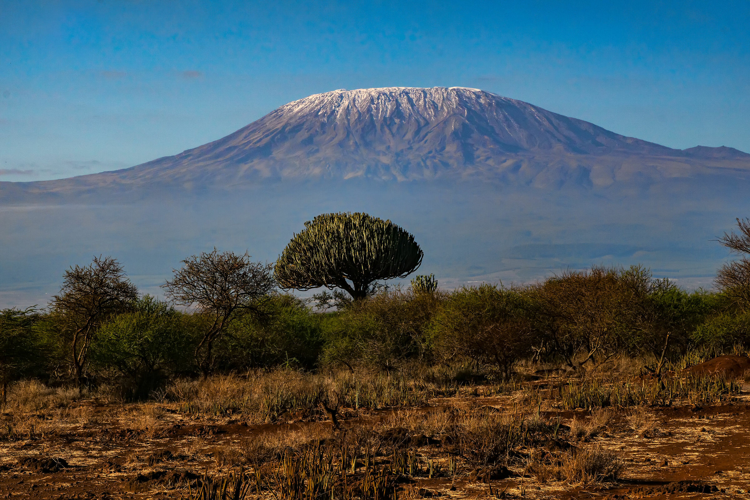 Kenya and Kilimanjaro...