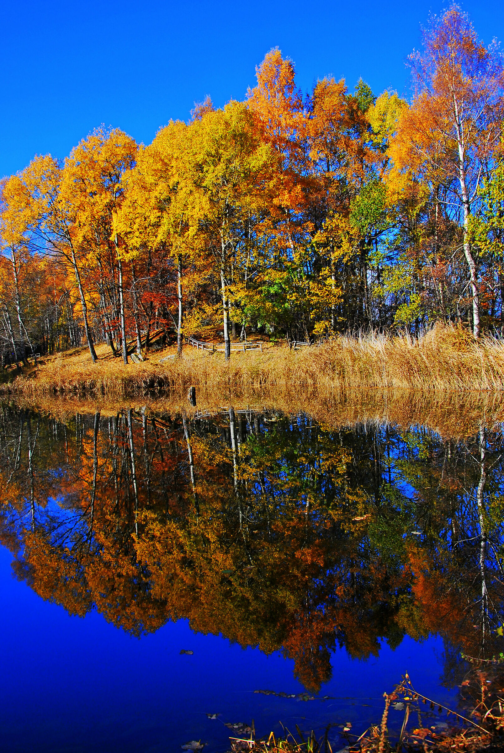 autumn reflections...
