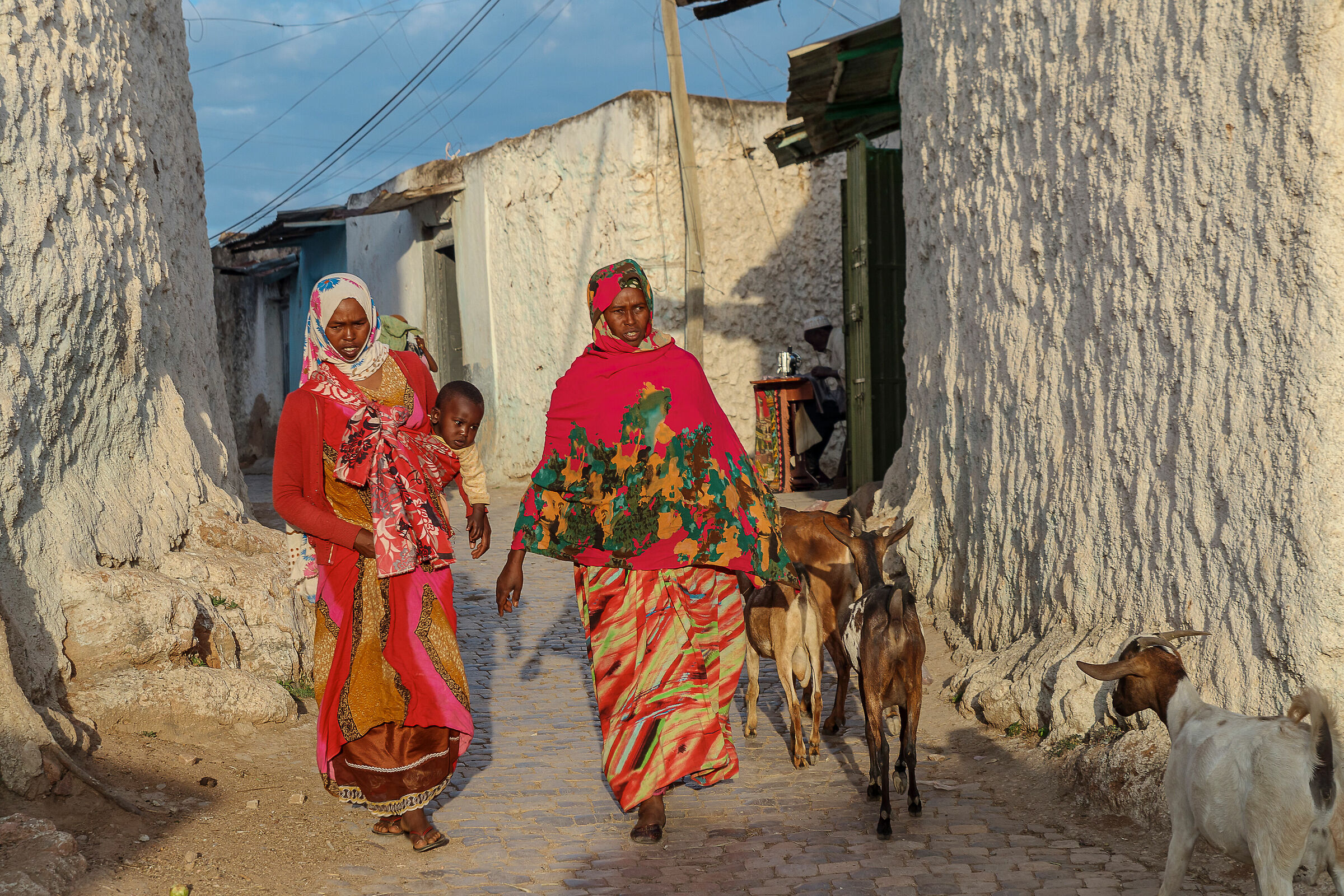 Ethiopia.Harar.Life in the alleys....