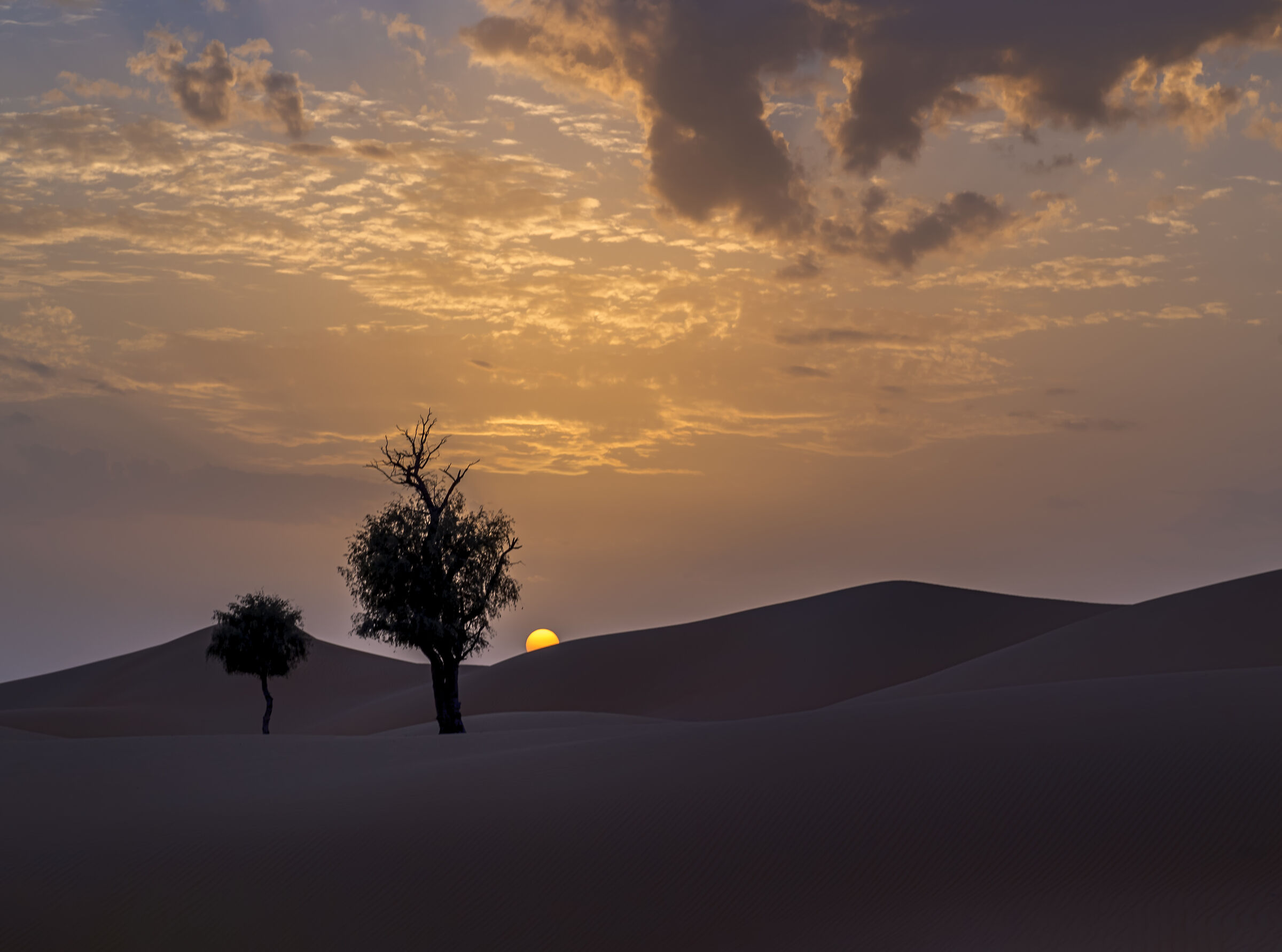 Sunset in the desert...