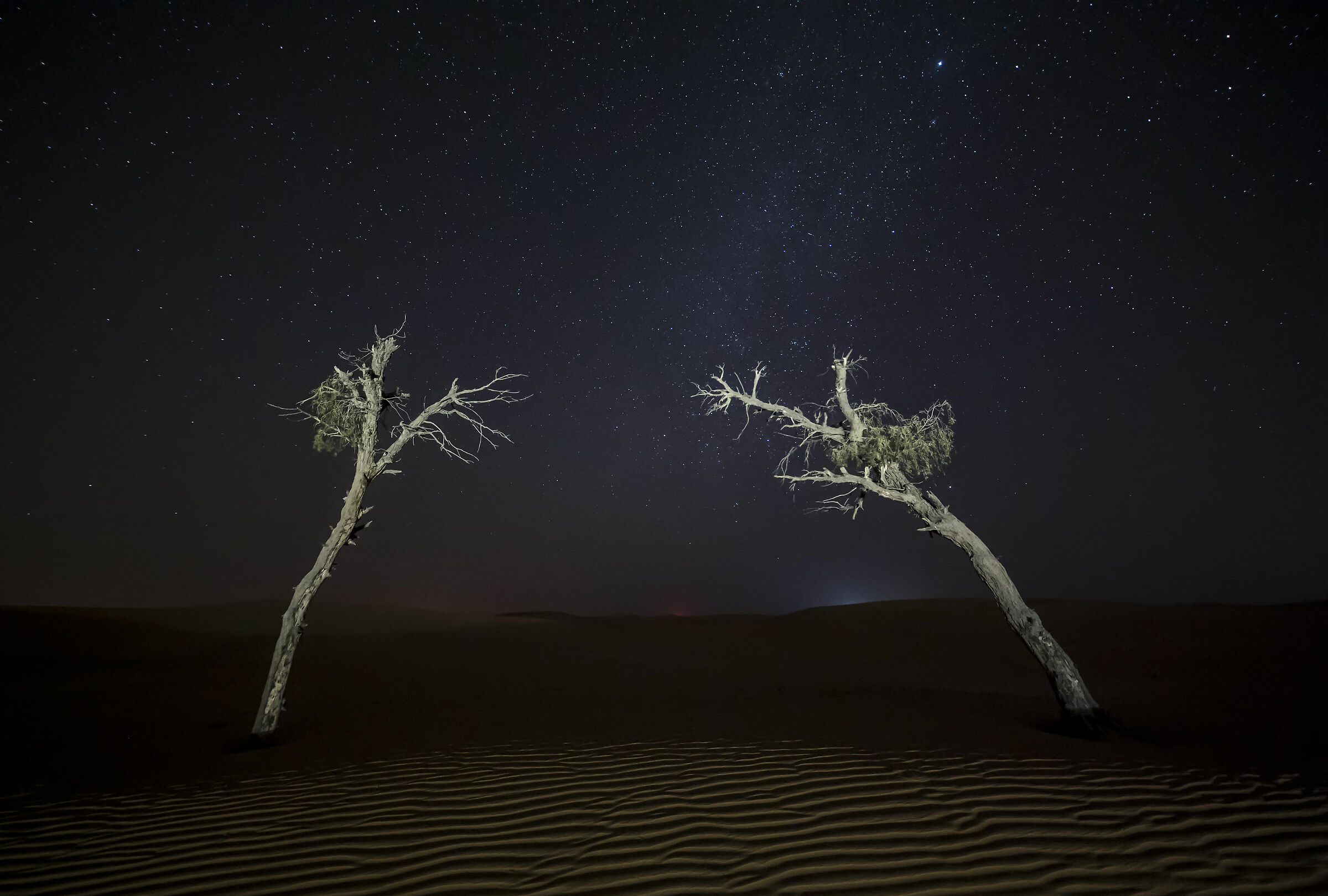 Night in the desert...