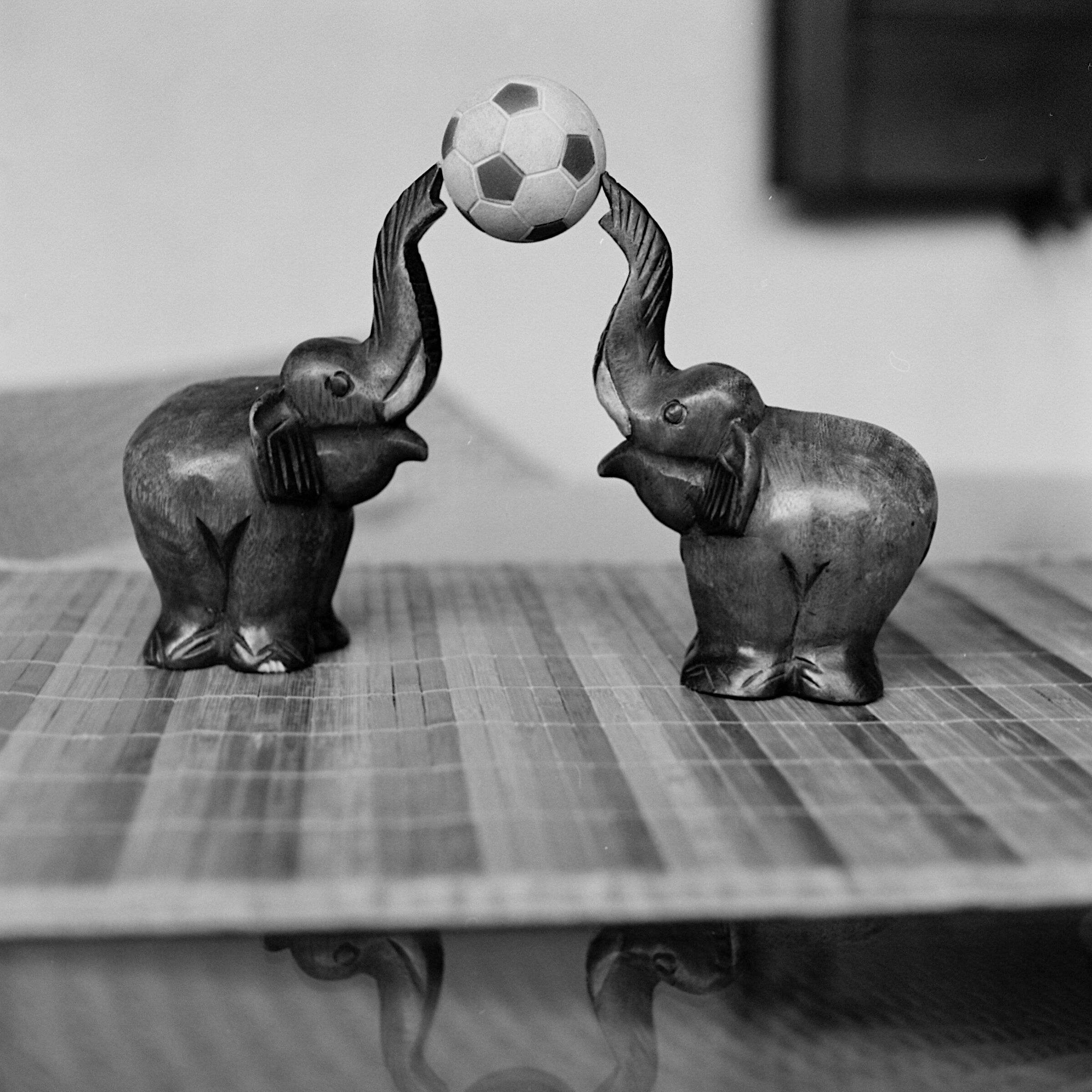 Elephant Soccer...