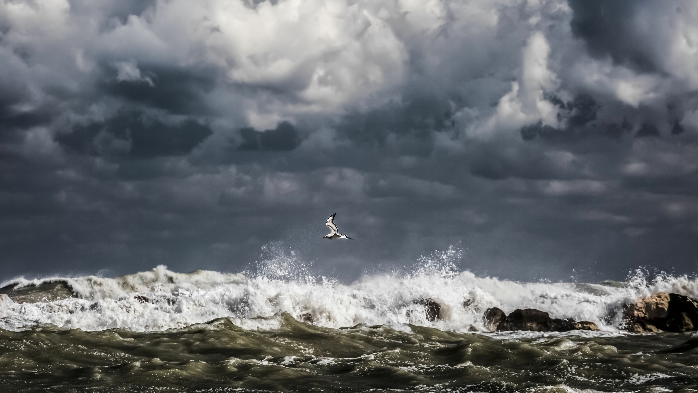 The Flight...