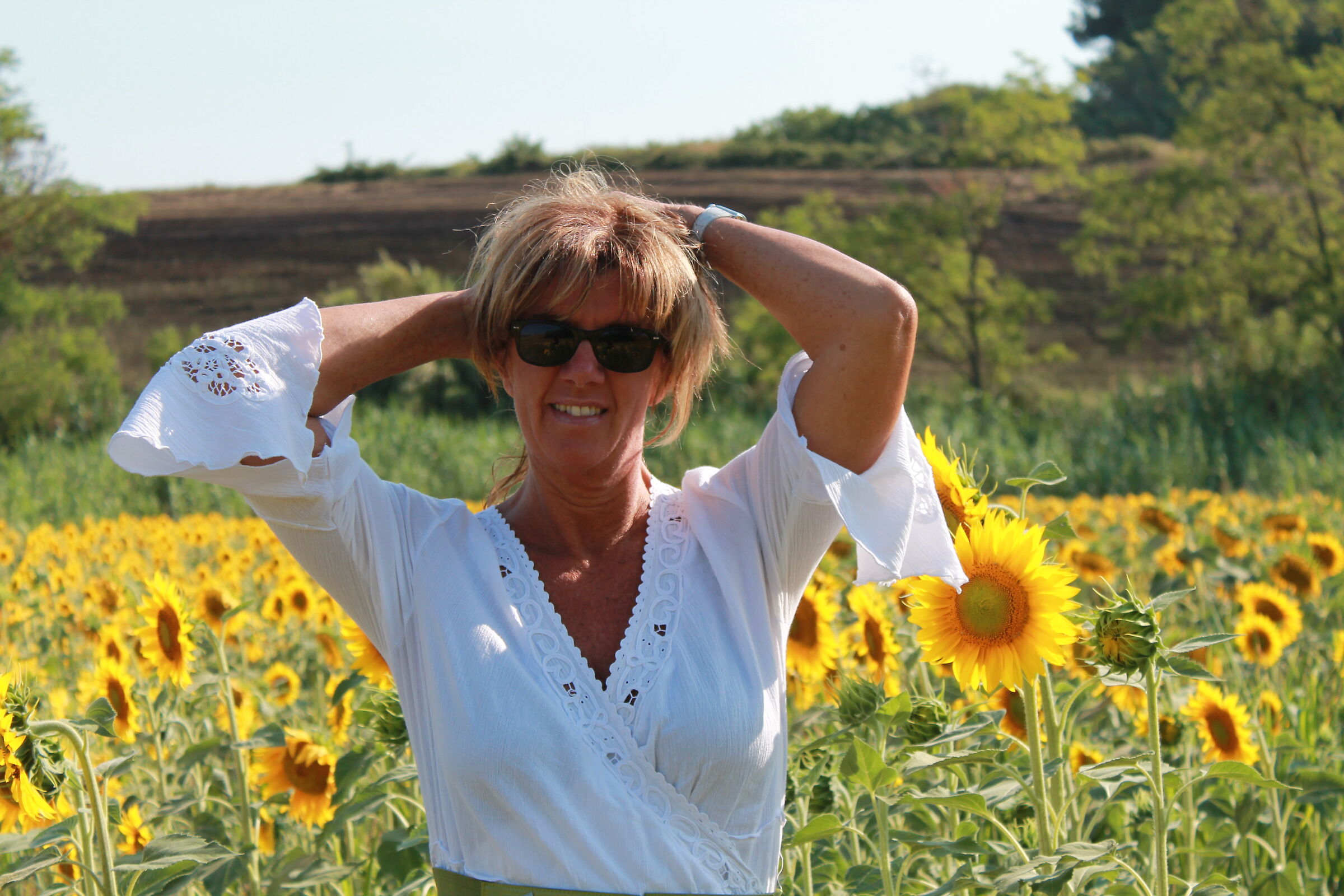 ME AND THE SUNFLOWERS...