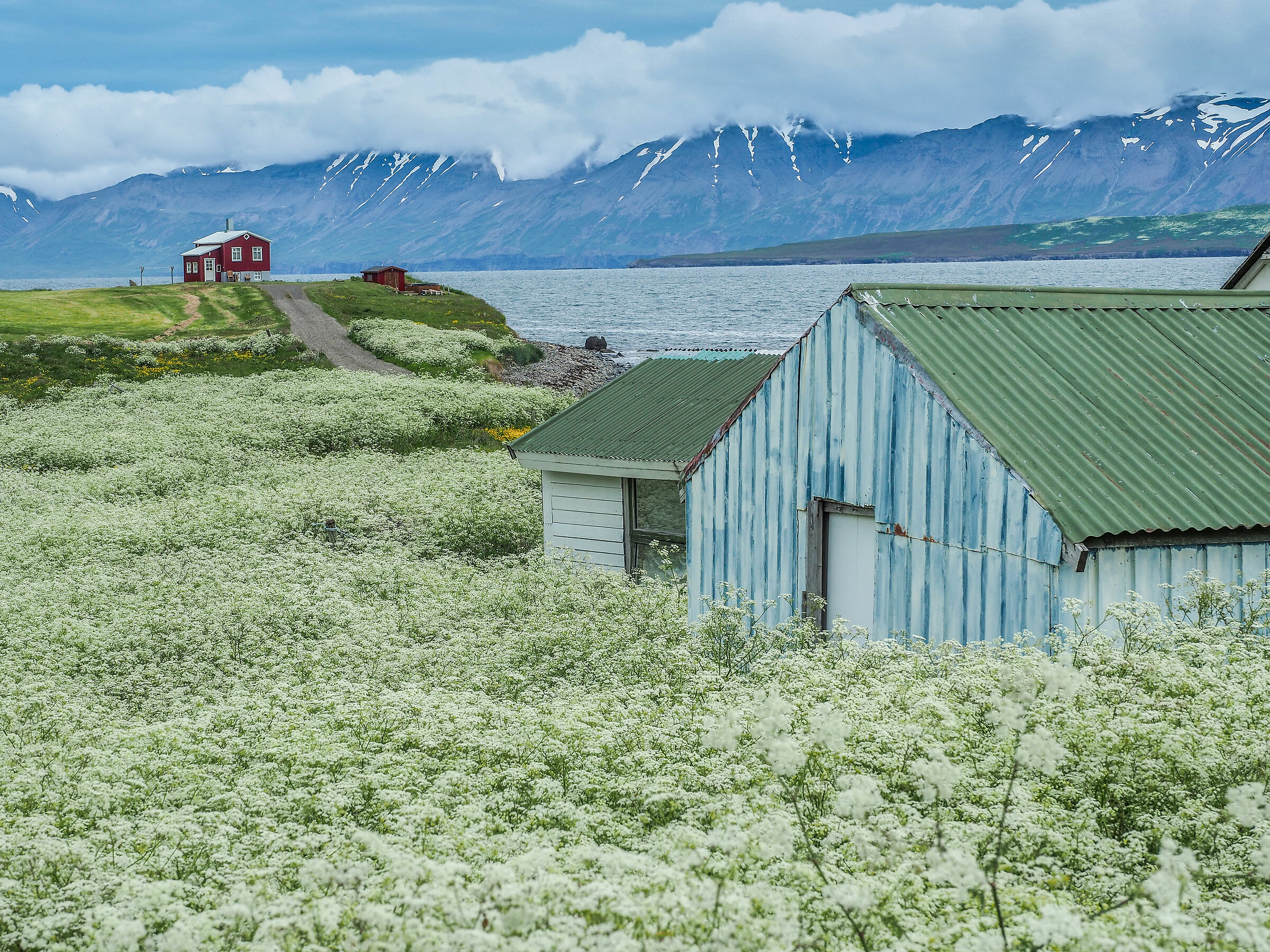 paesaggio islandese...