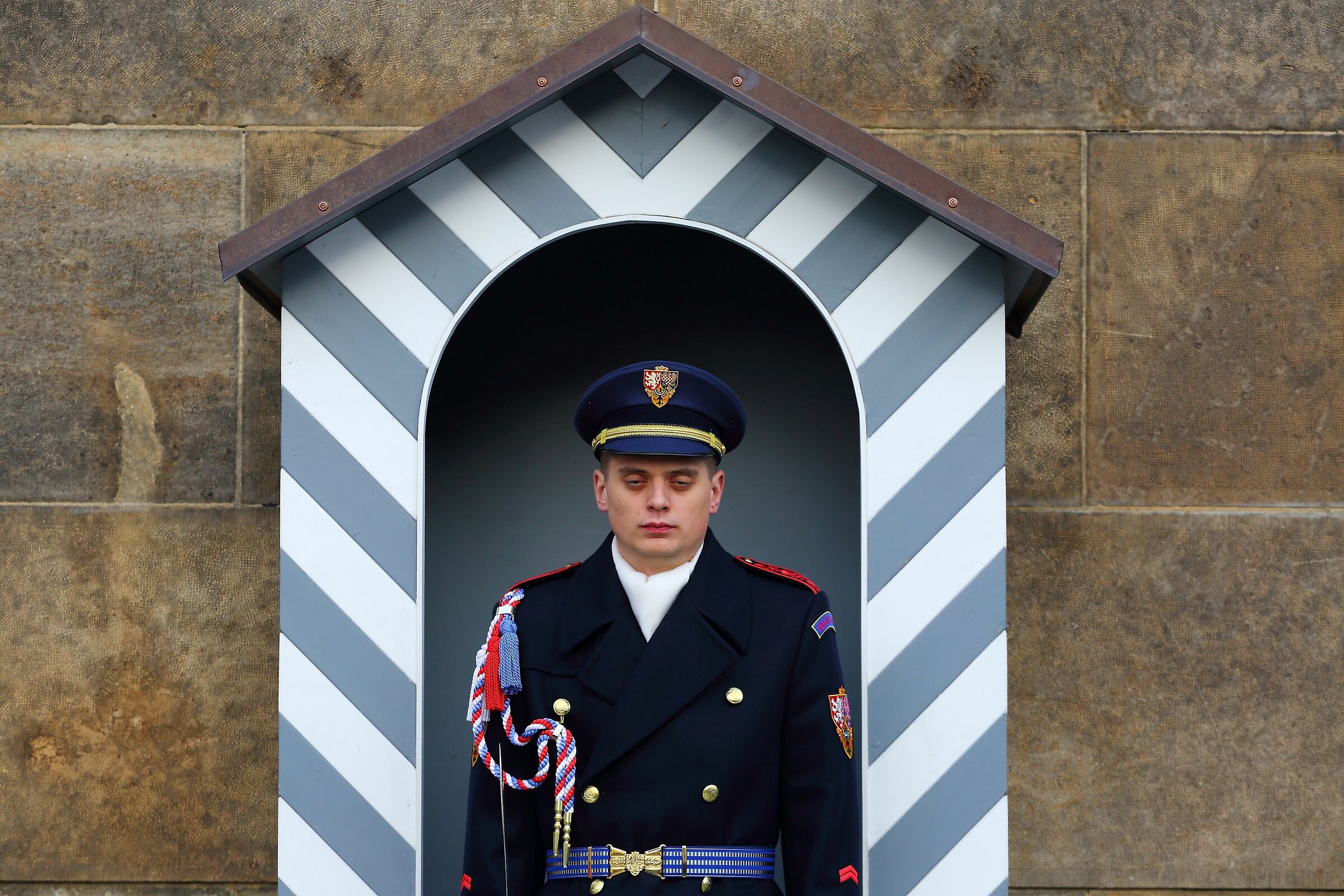 Guard at the Presidential Palace - Nothing escapes!!...