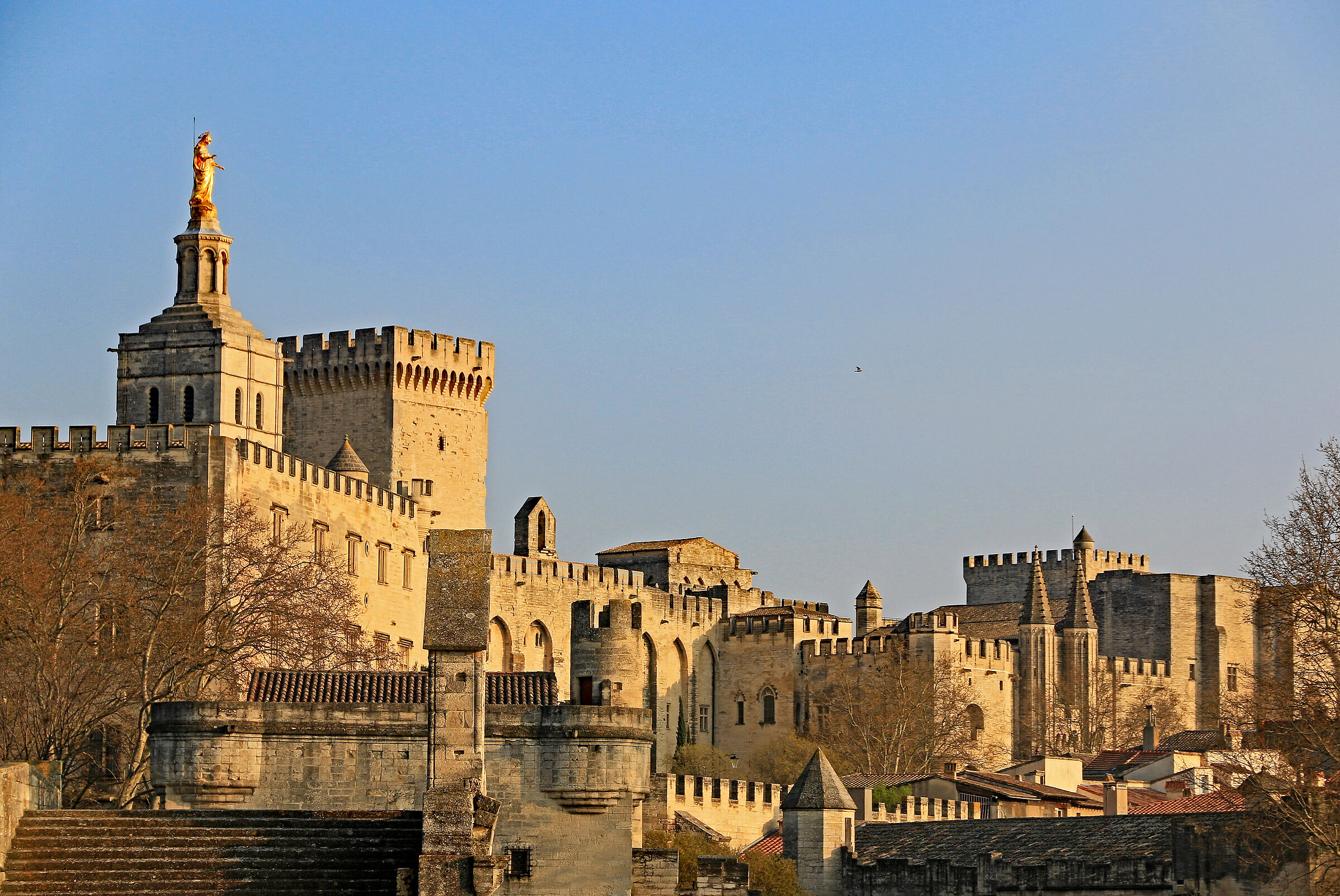 Avignon: Papal Palace seen from the "broken bridge"...