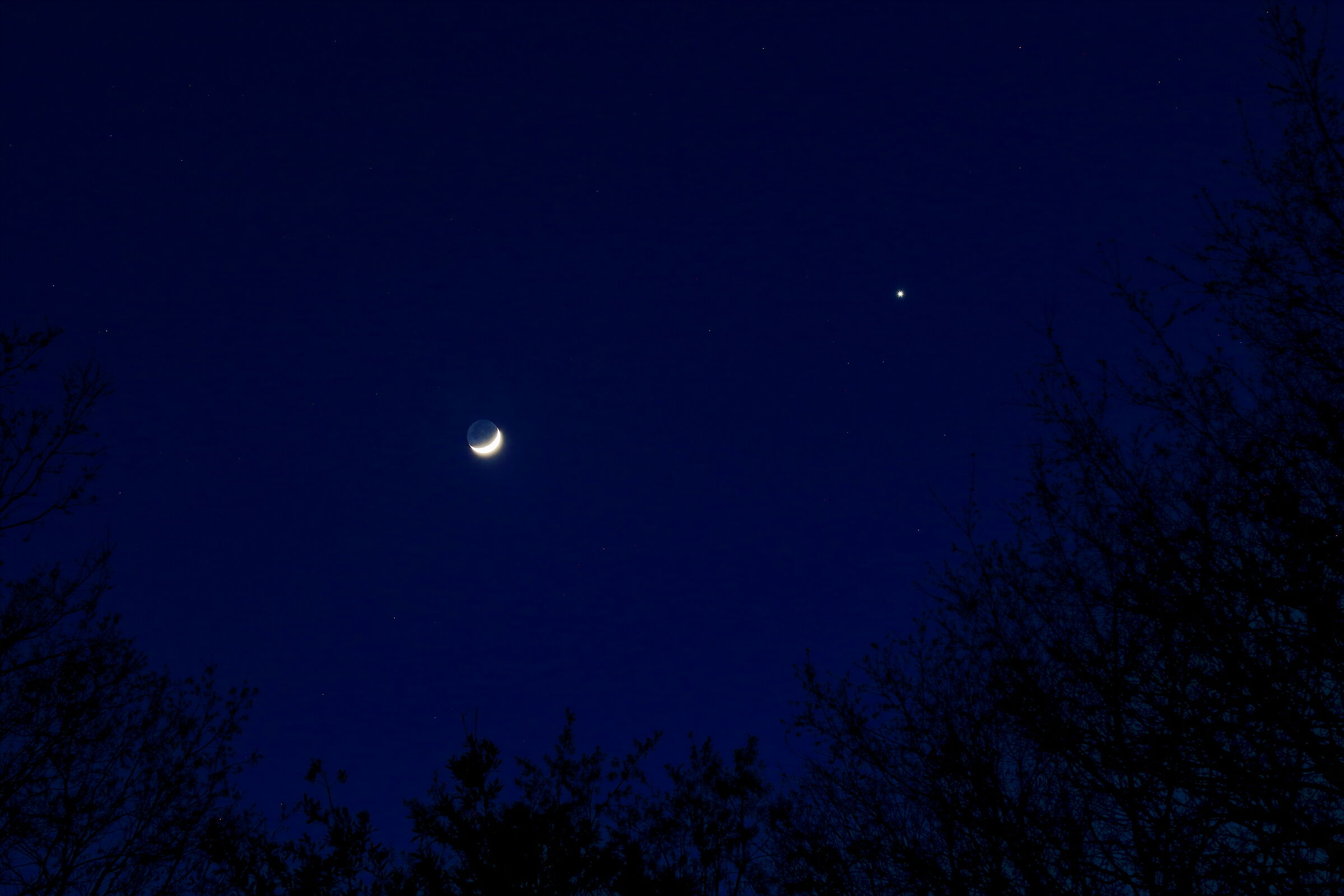 Luna e Venere insieme...