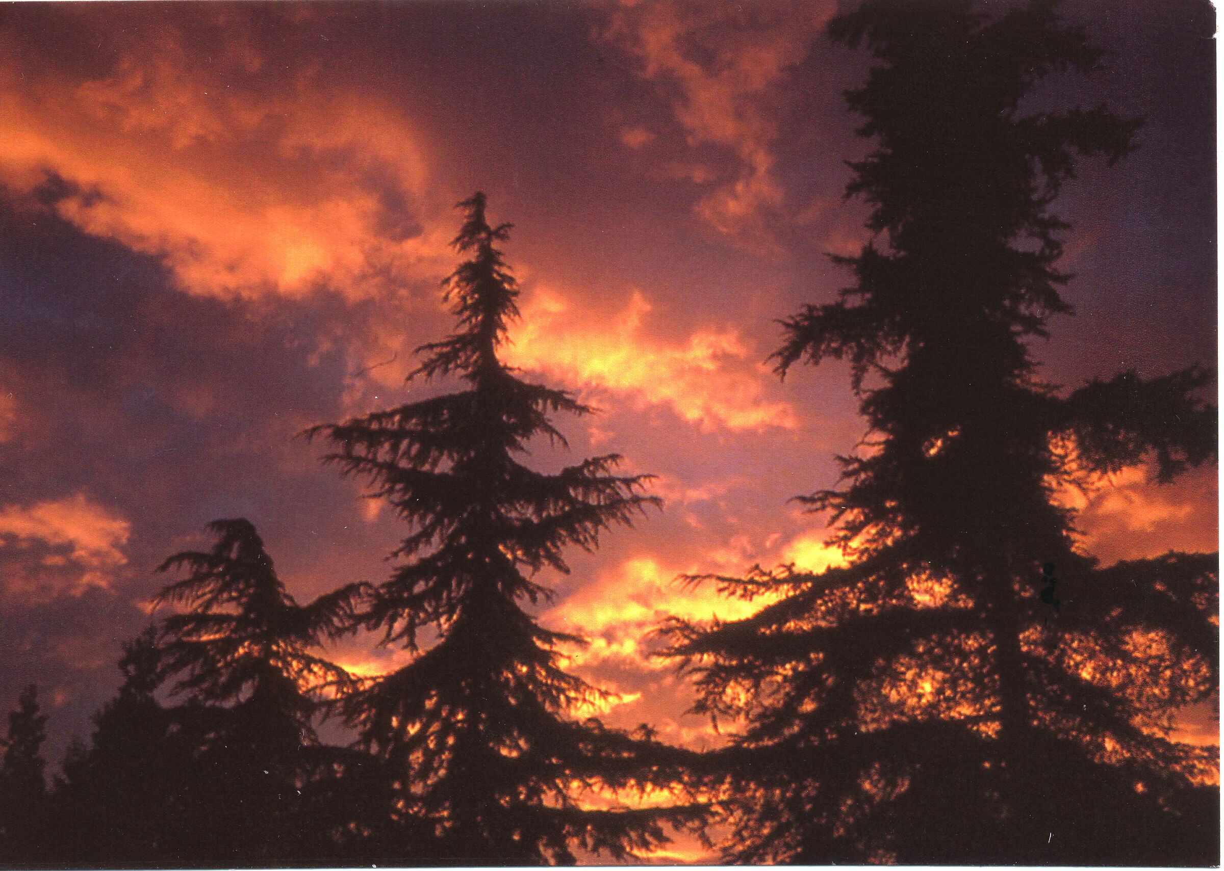 Sunset after a thunderstorm...
