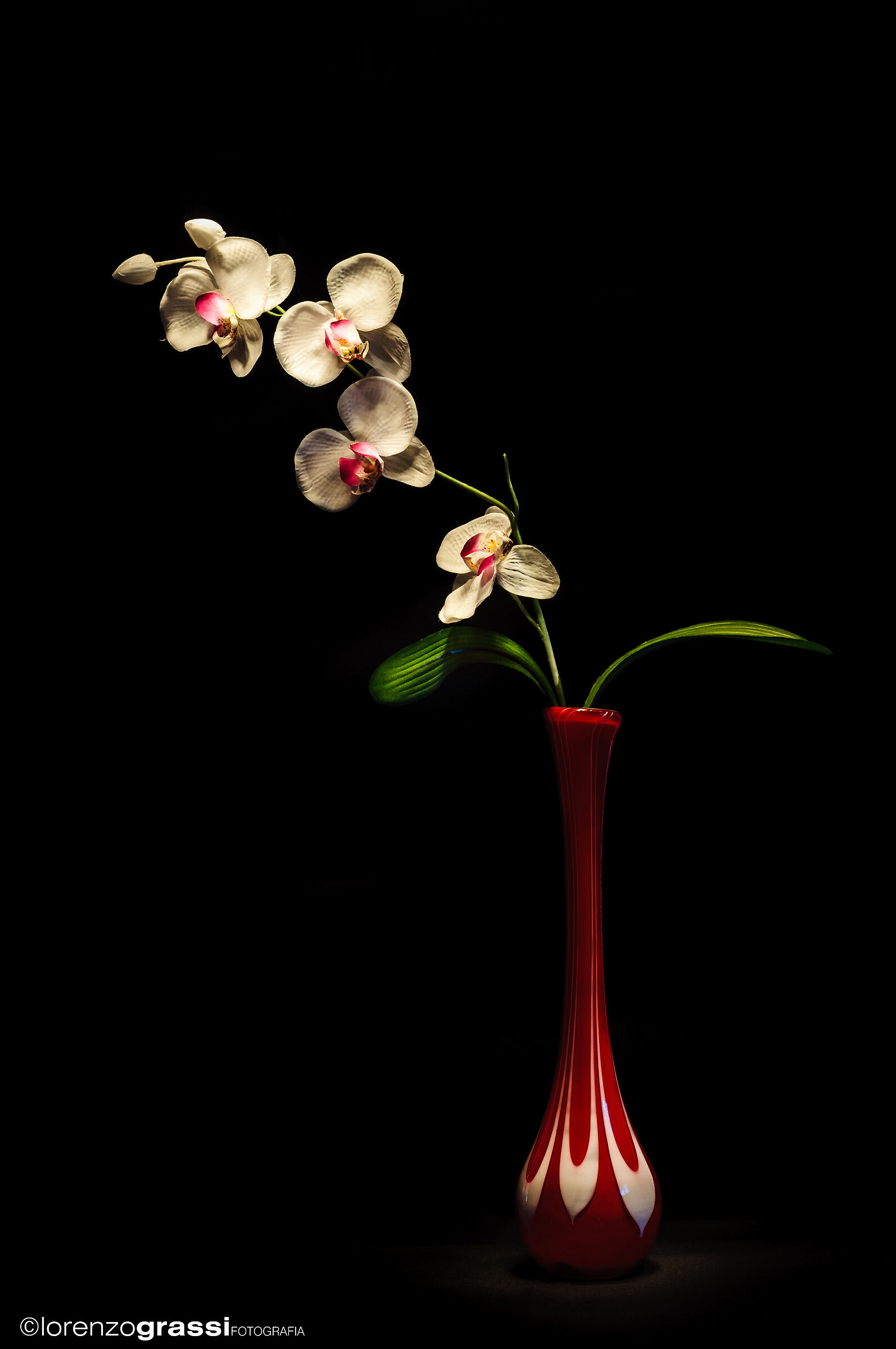 red vase and orchid...