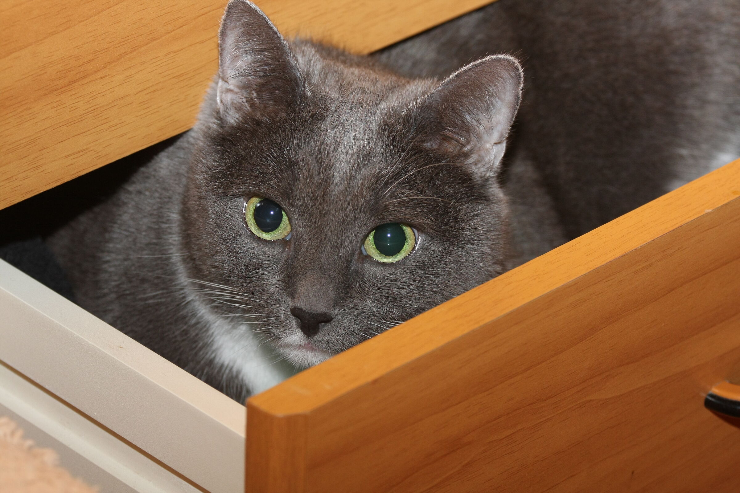 In the drawer...