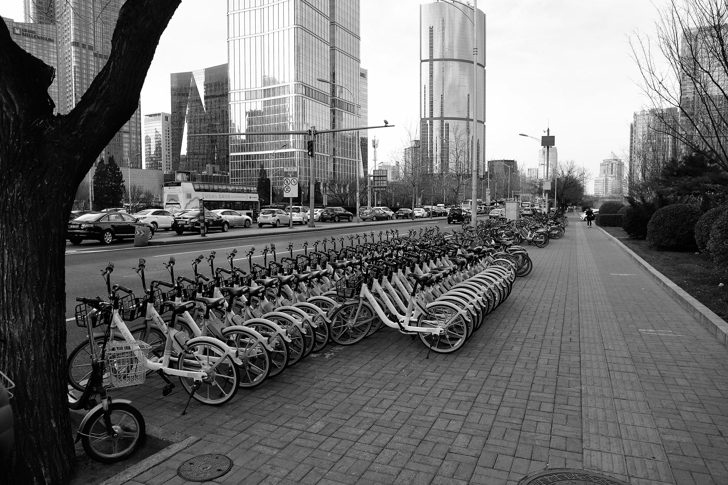 Bicycles in Beijing...