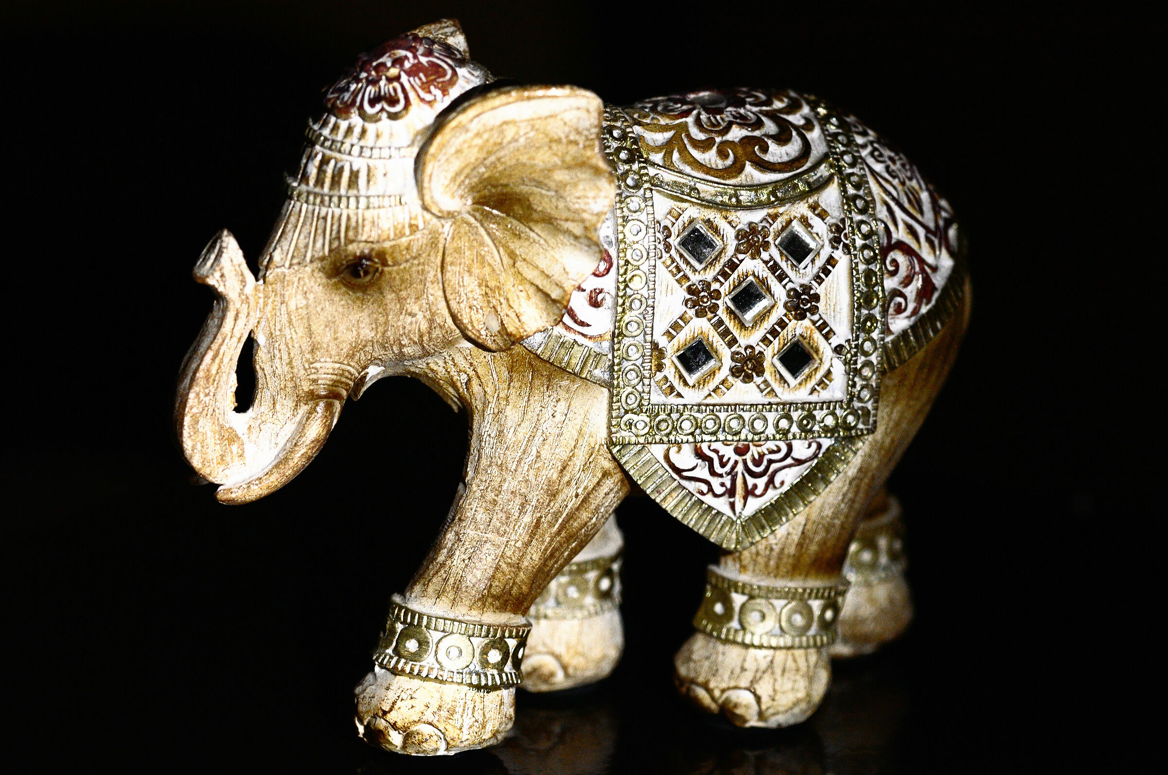 Elefante dall'India...