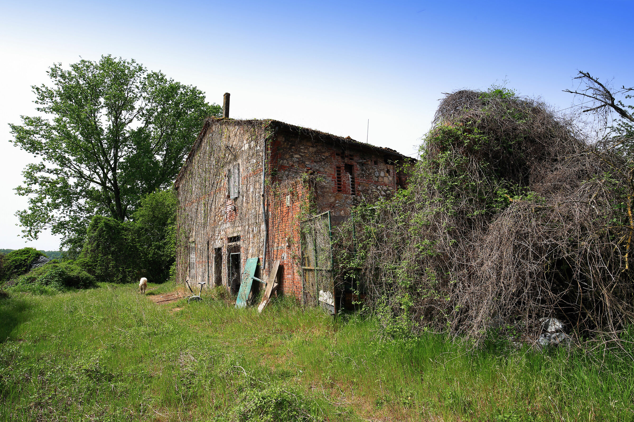 Abandoned cottage...