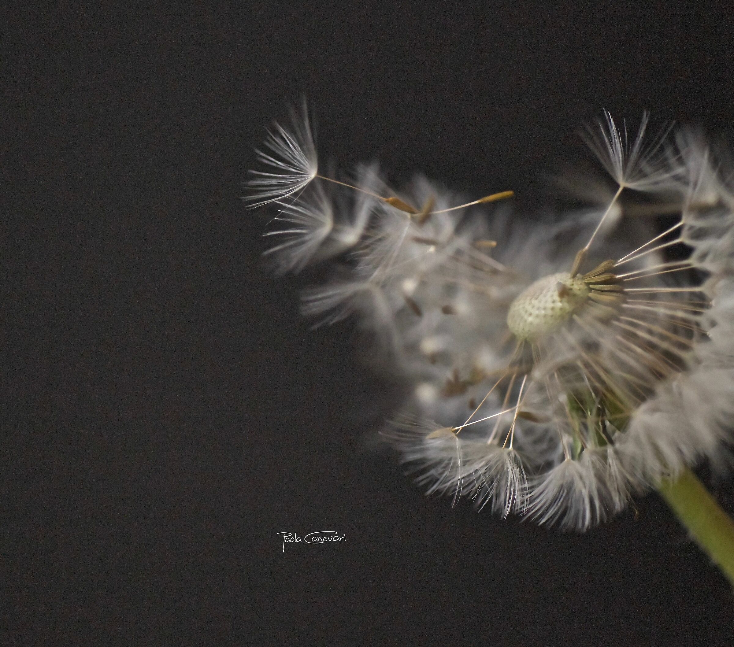 Untitled Photo...