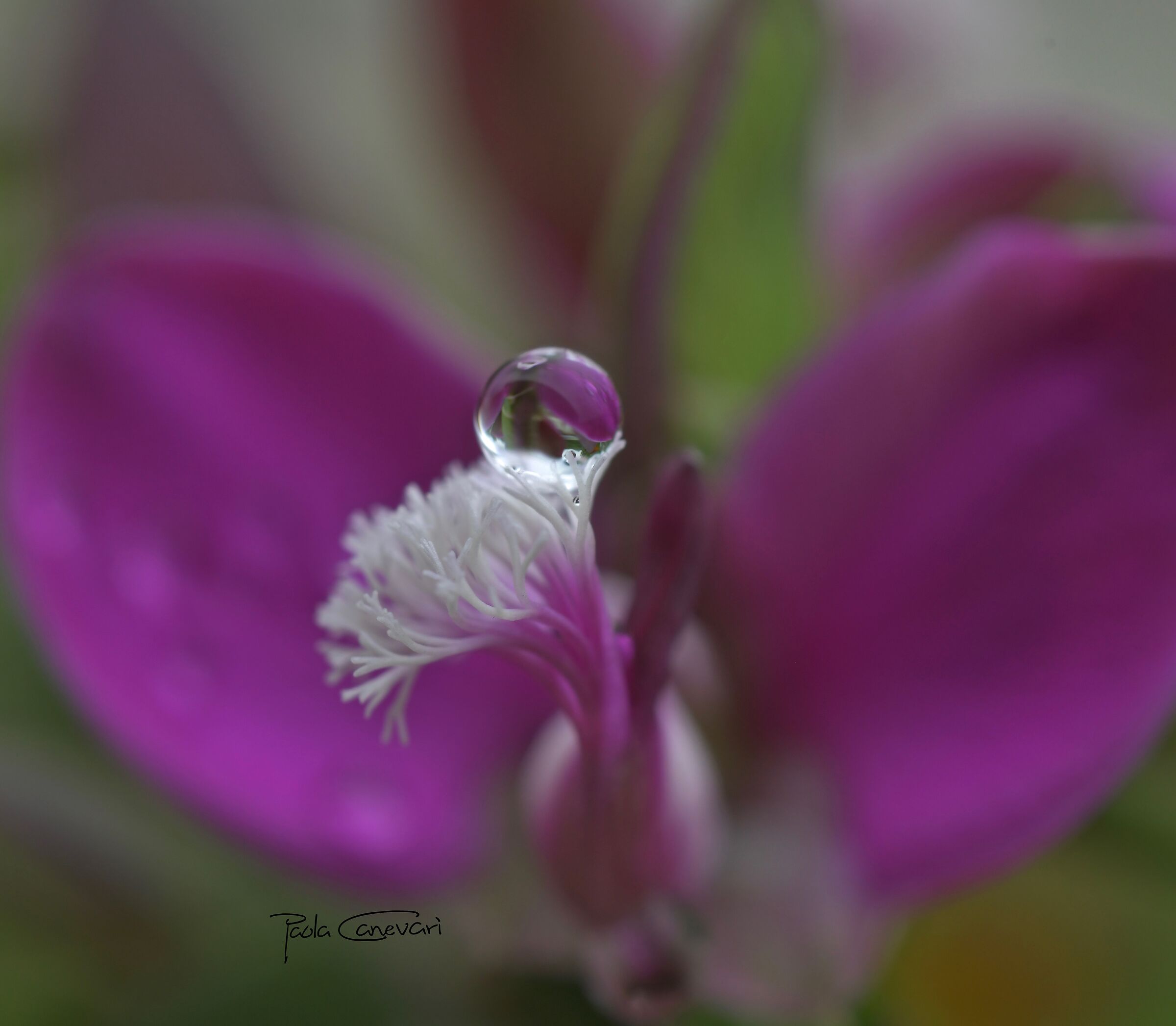 Untitled Photo...