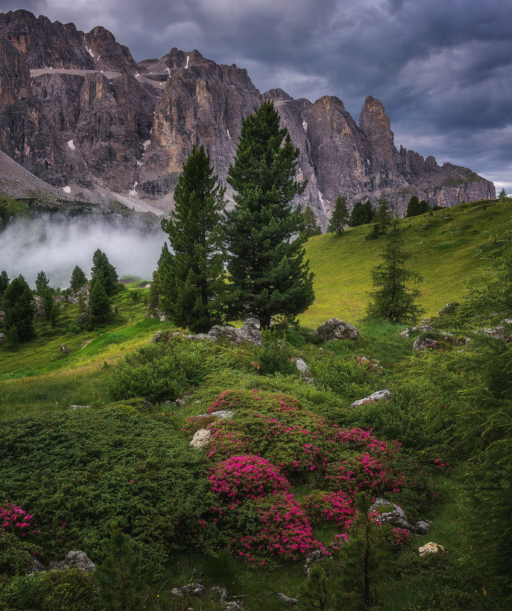 Summer in the Dolomites...