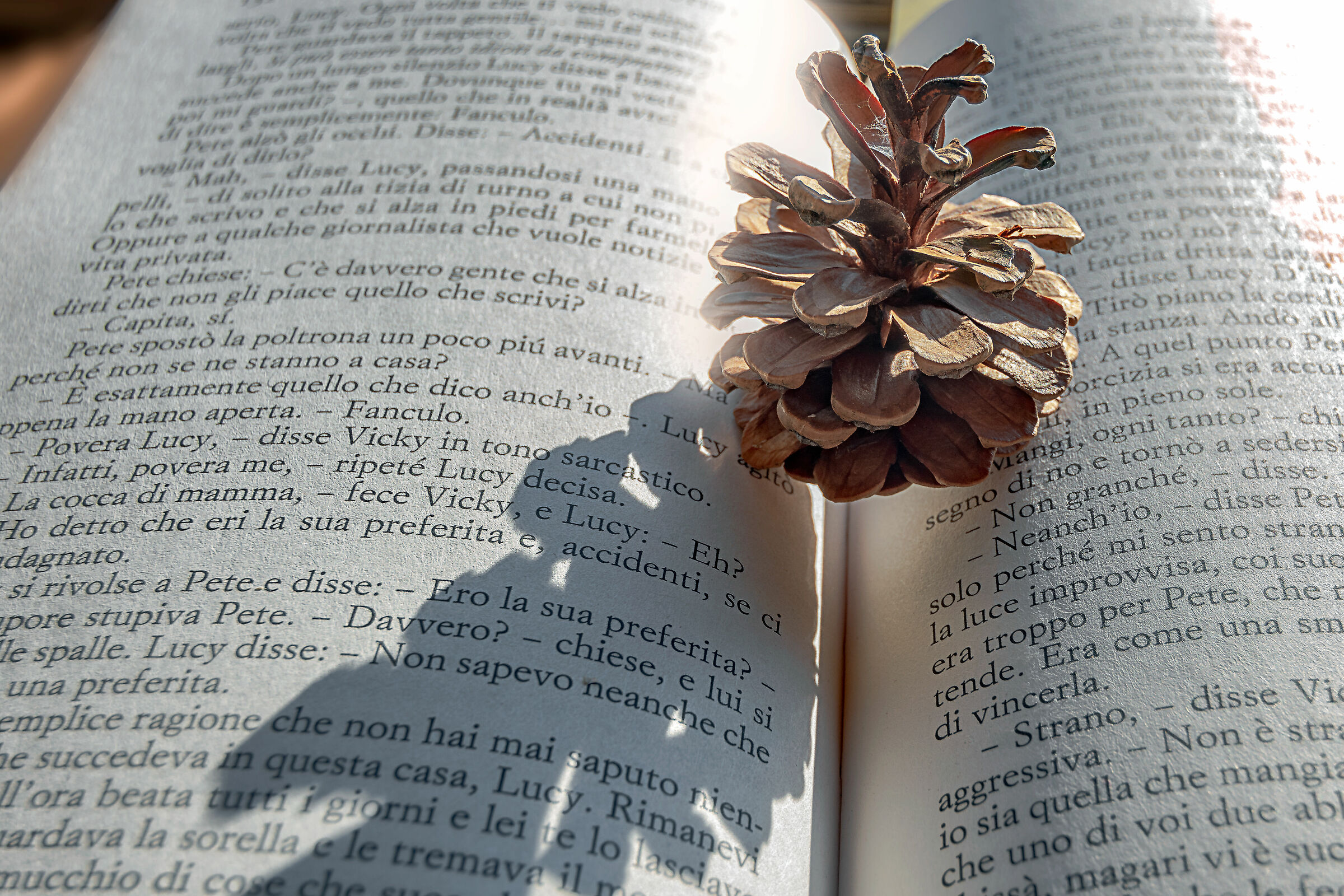 book and pineae...