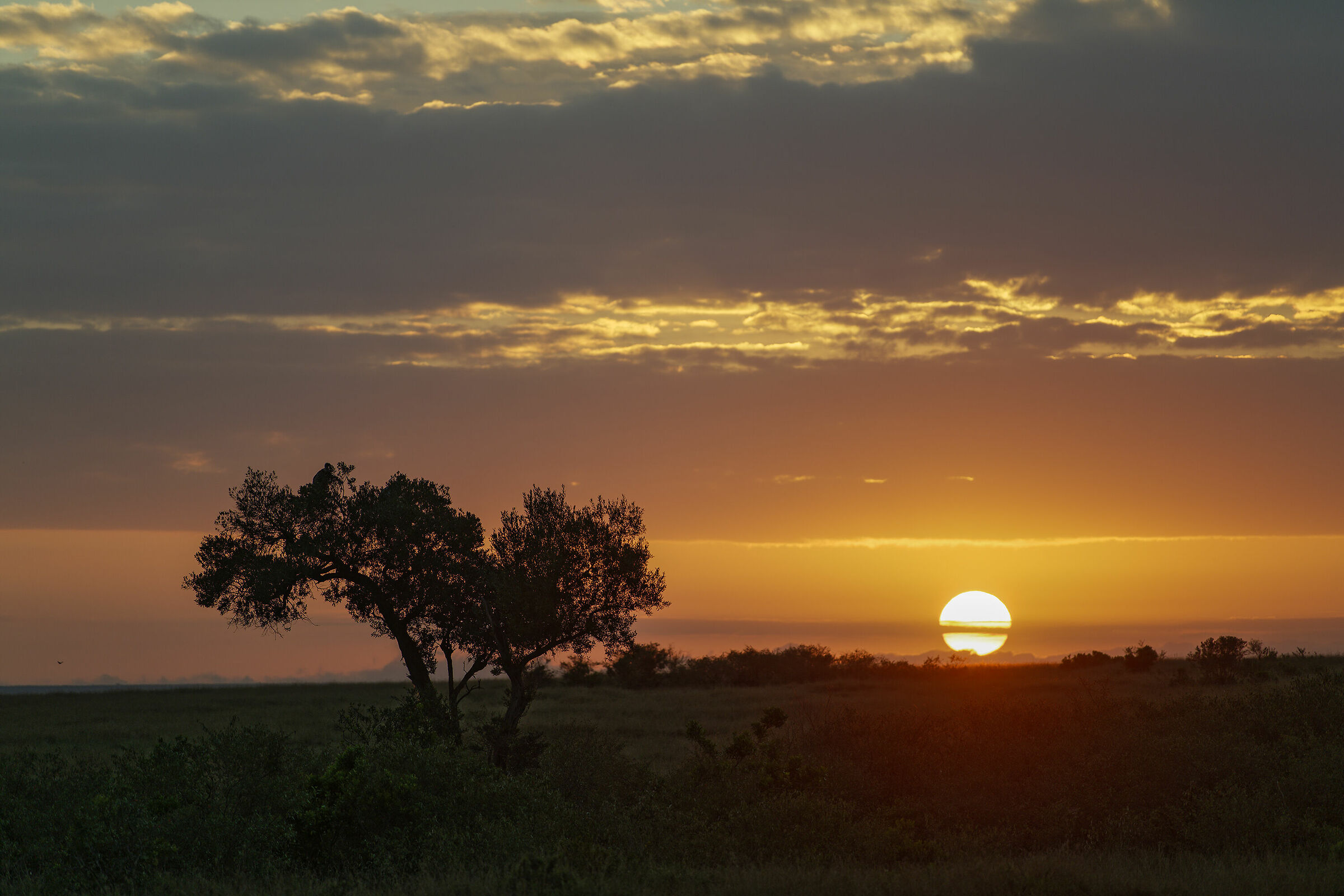 Masai mara sunset...