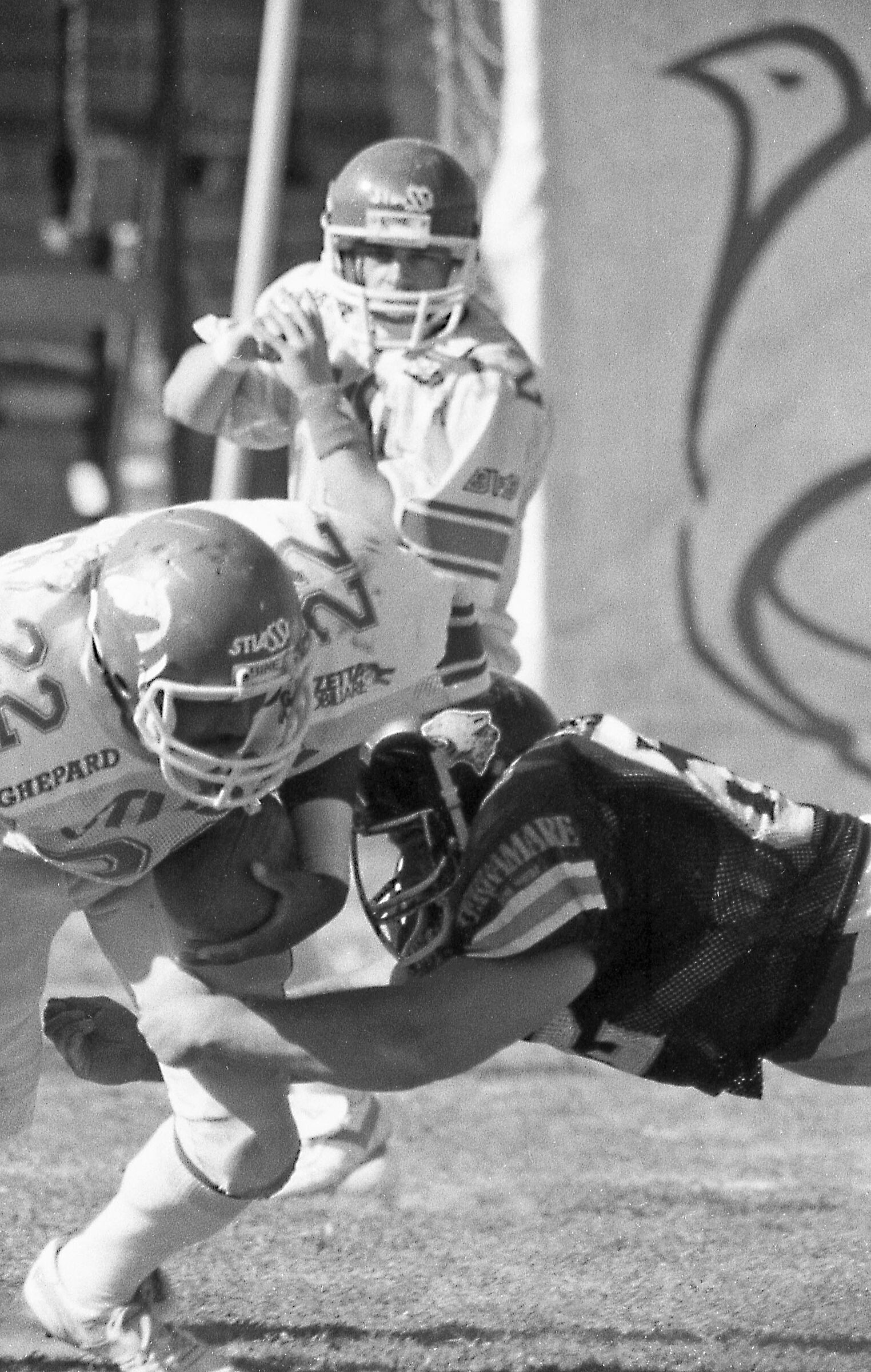 The tackle - Lunetta Gamberini - Bologna - 1985-87...