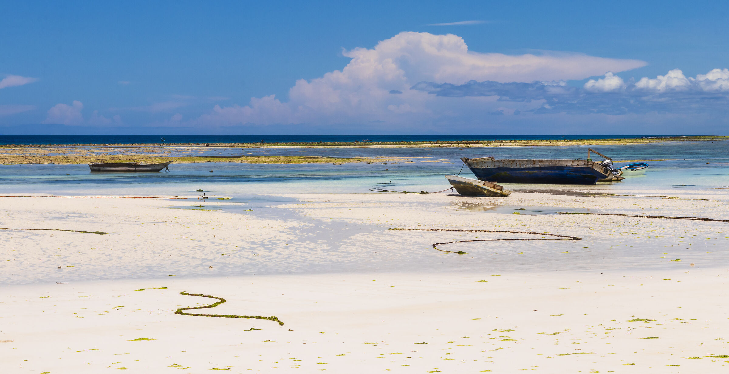 I colori di Zanzibar...