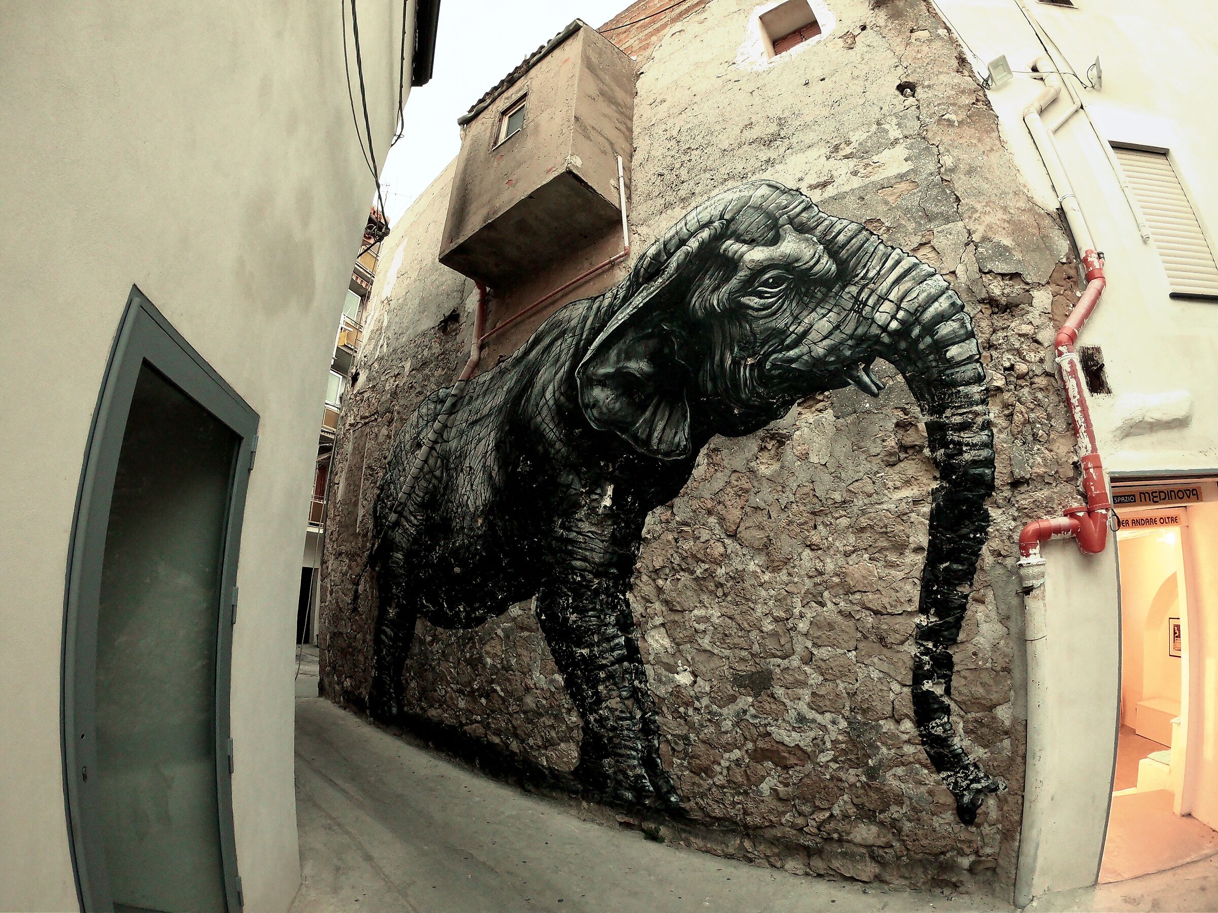 Giant...