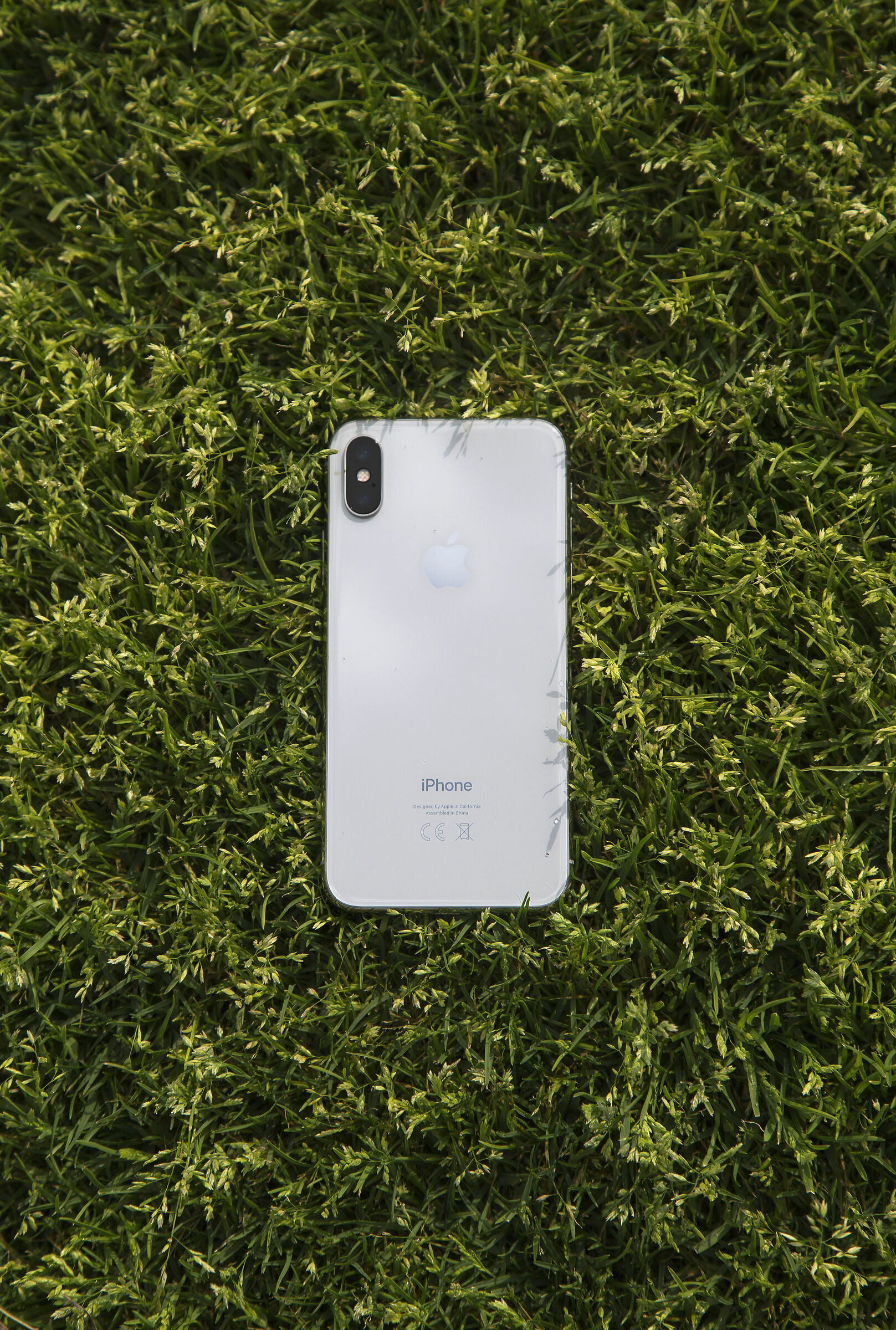 Iphone on the grass...