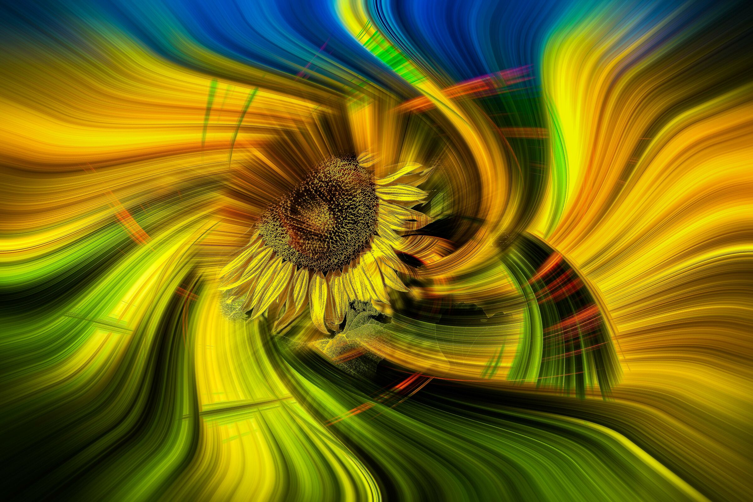 twirl effect with sunflower...