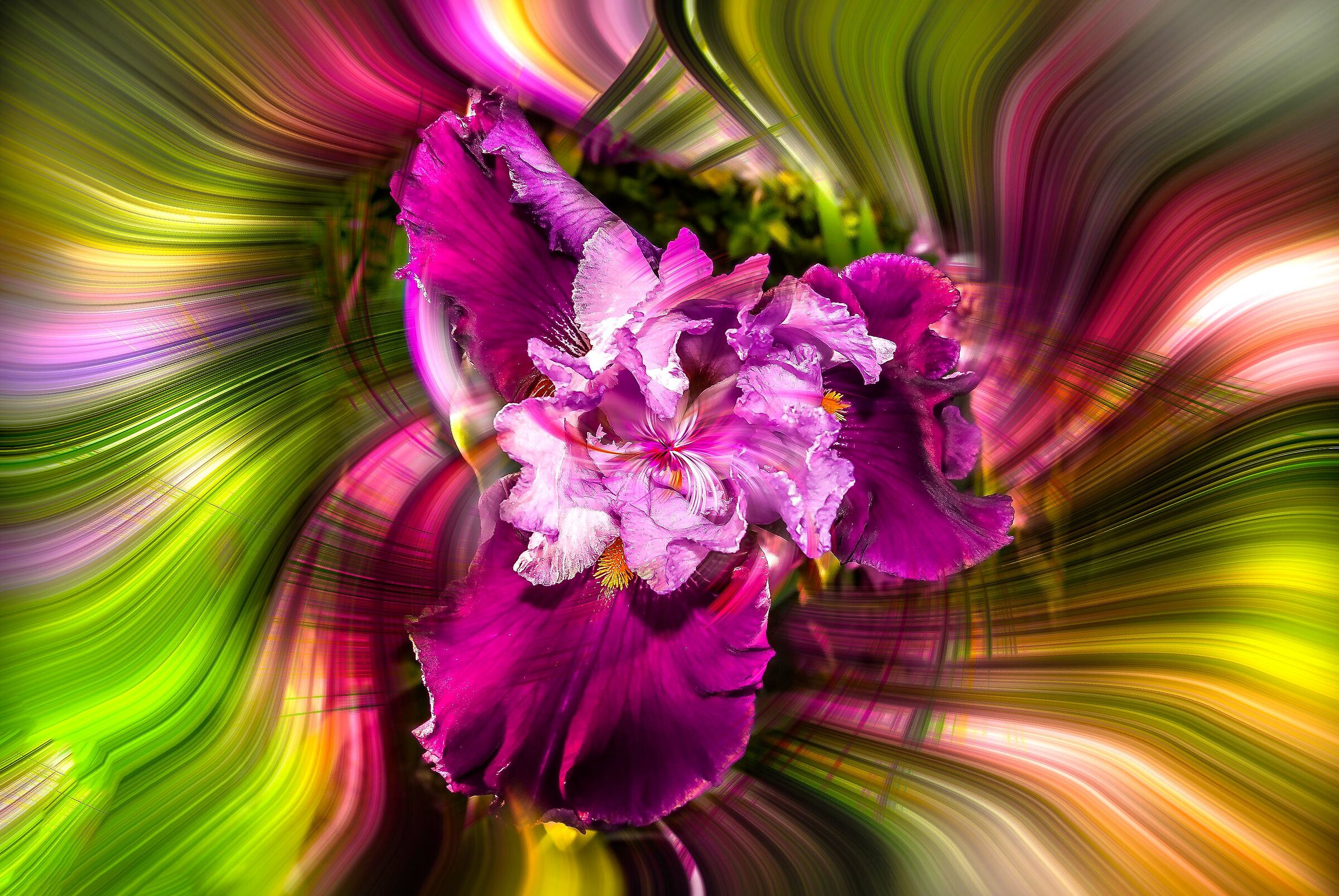 twirl effect with flower...