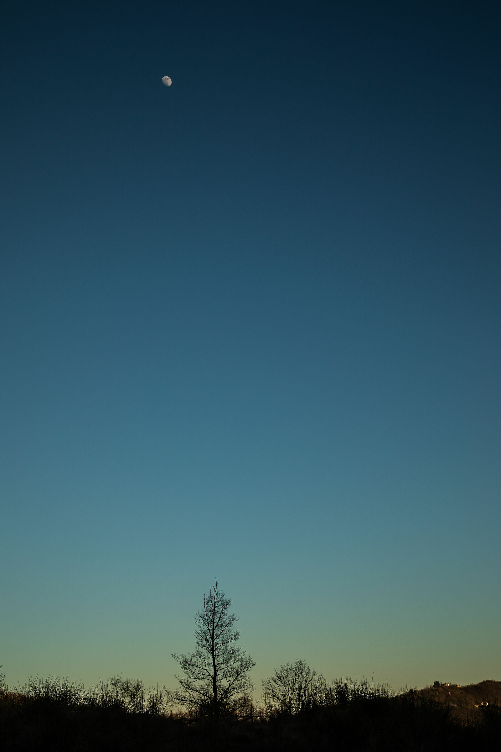 Landscape, silhouette, tree, moon...