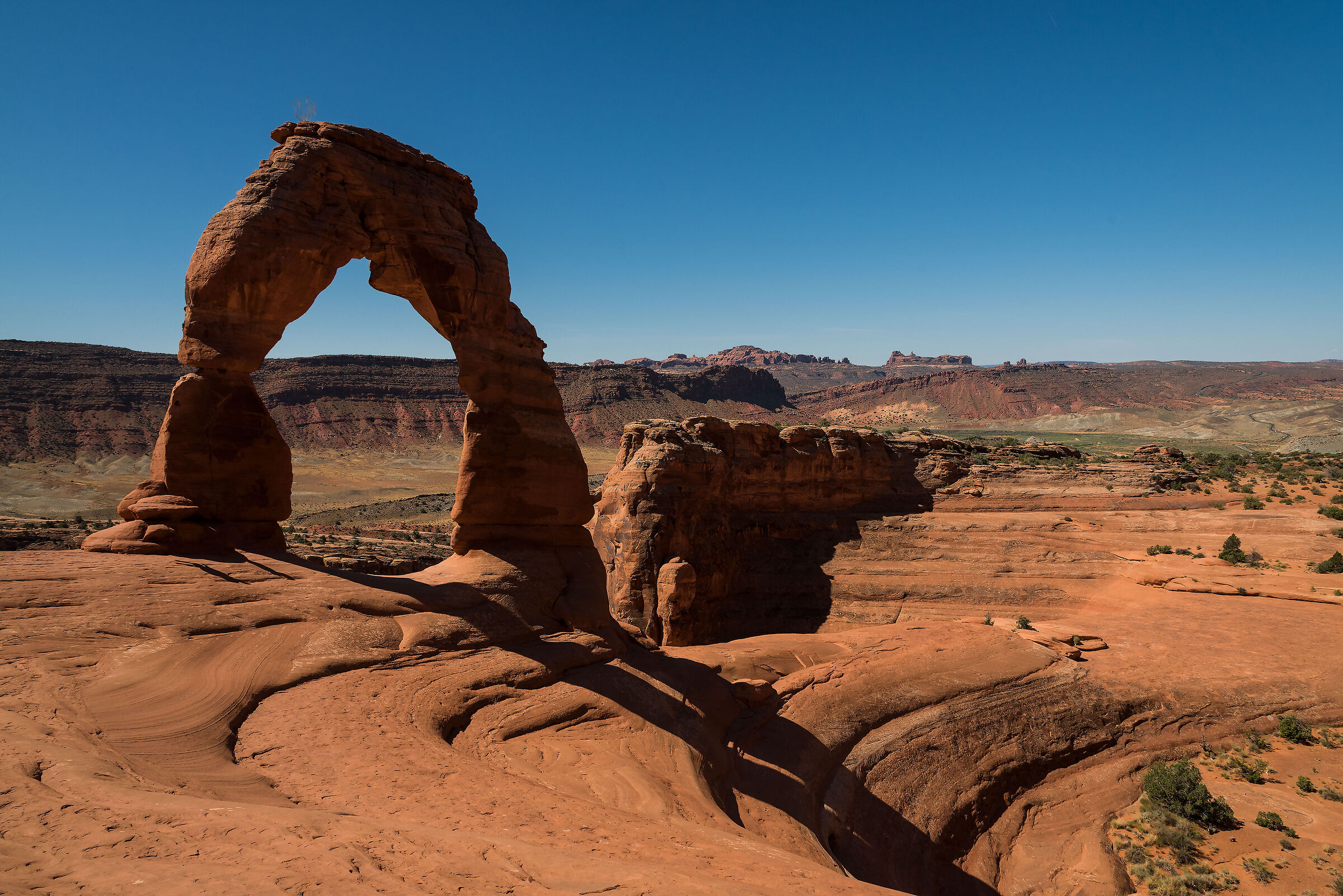 Her Majesty the Delicate Arch...