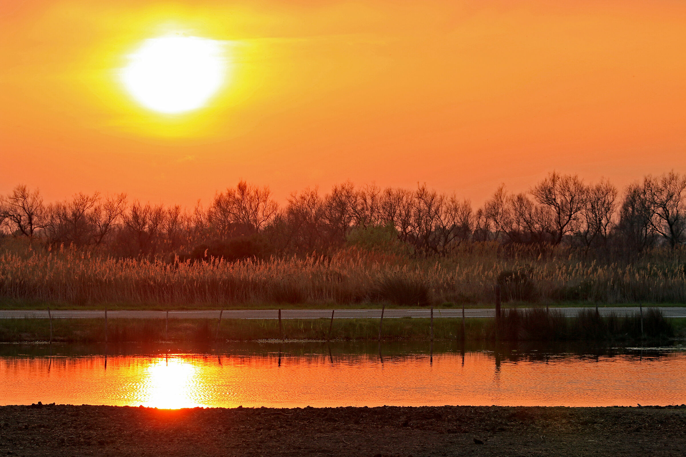 Tramonto in Camargue...