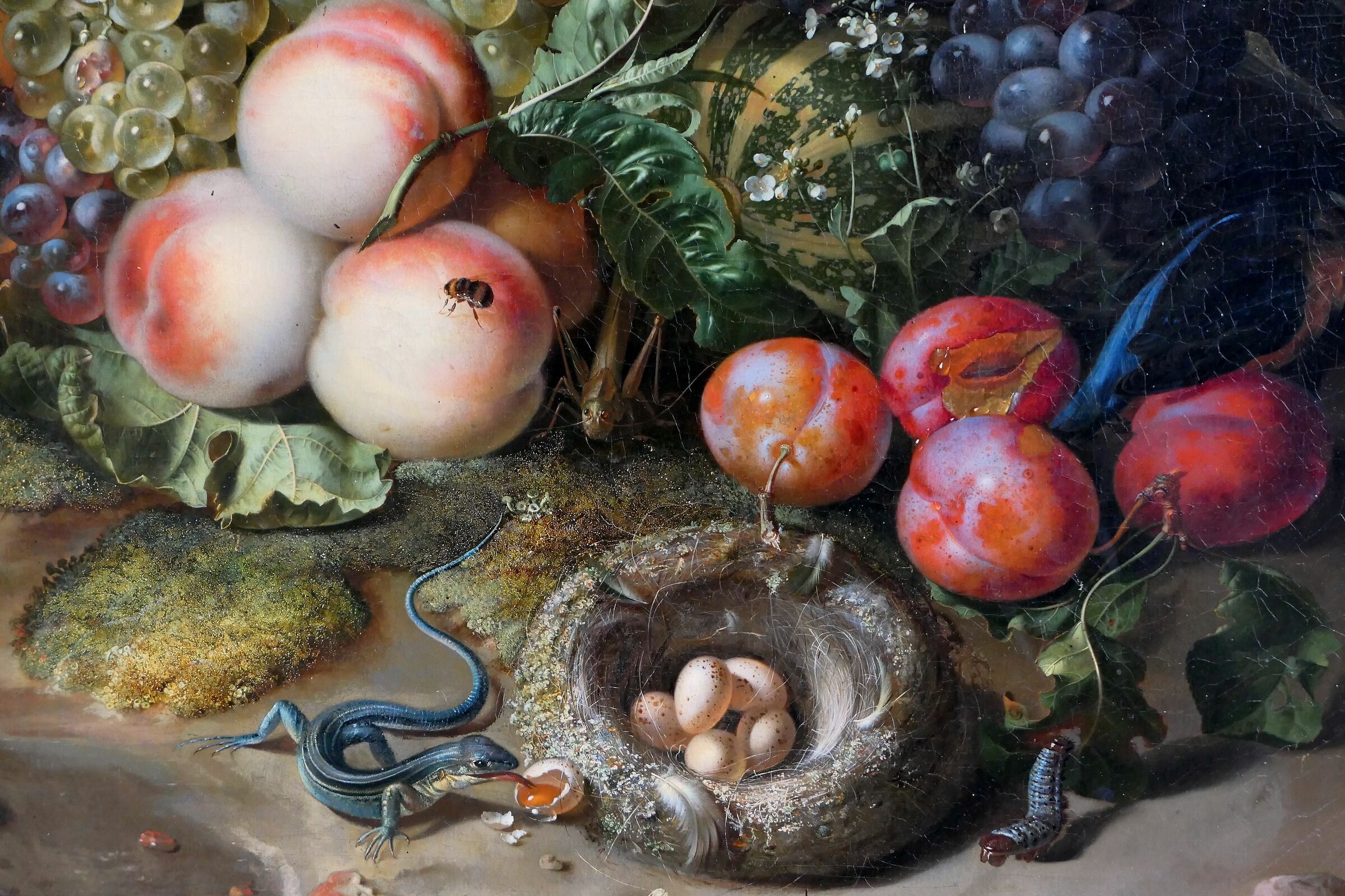 Rachel Ruysch "Frutta, Fiori e Insetti"...