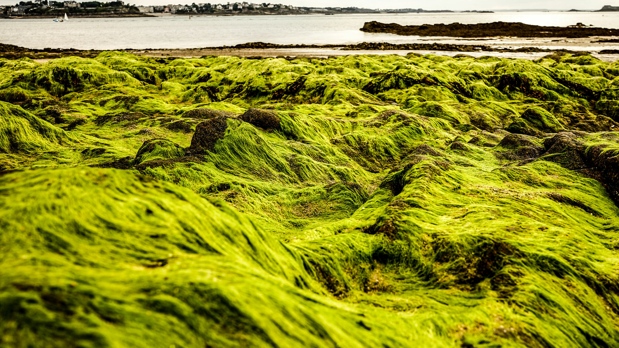 The green waves in Saint-Malo...