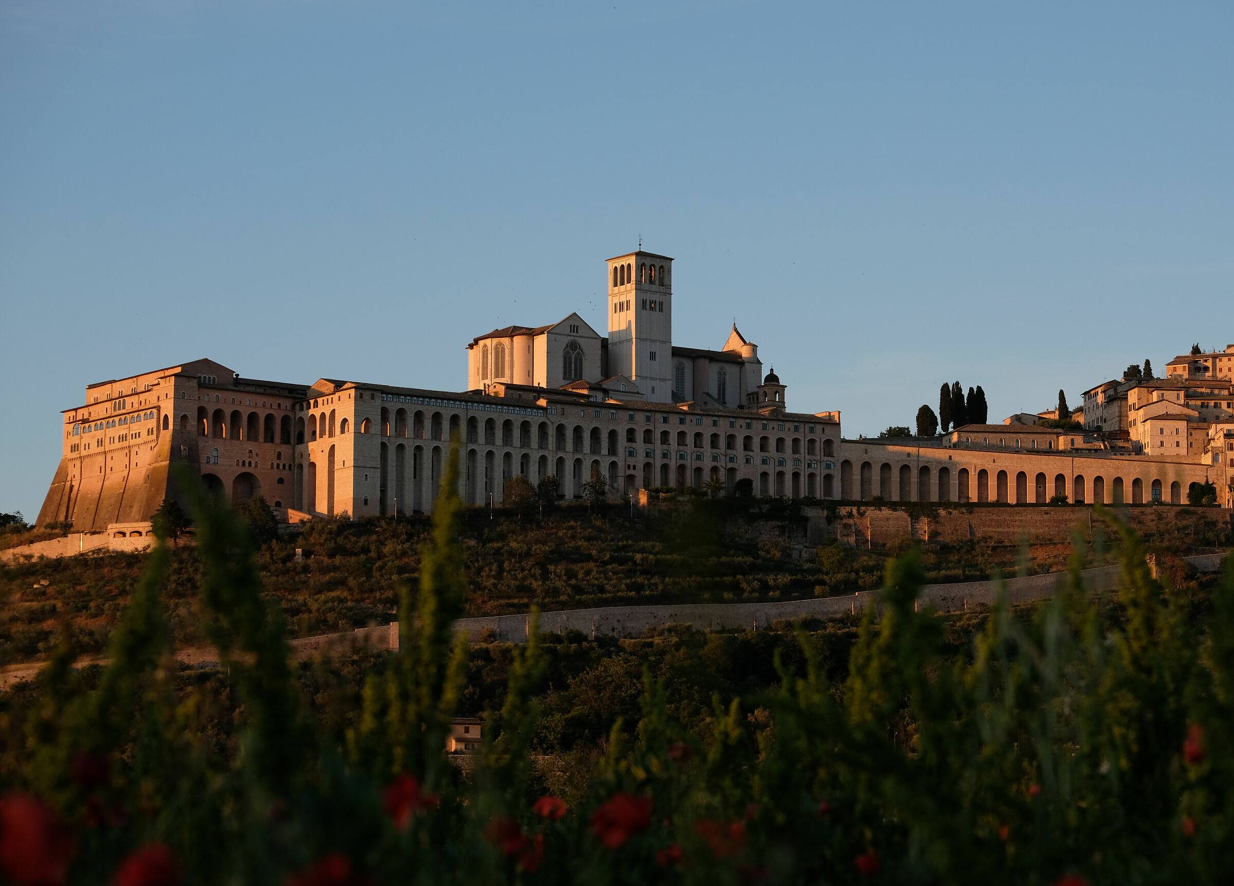 Magic hour in Assisi...