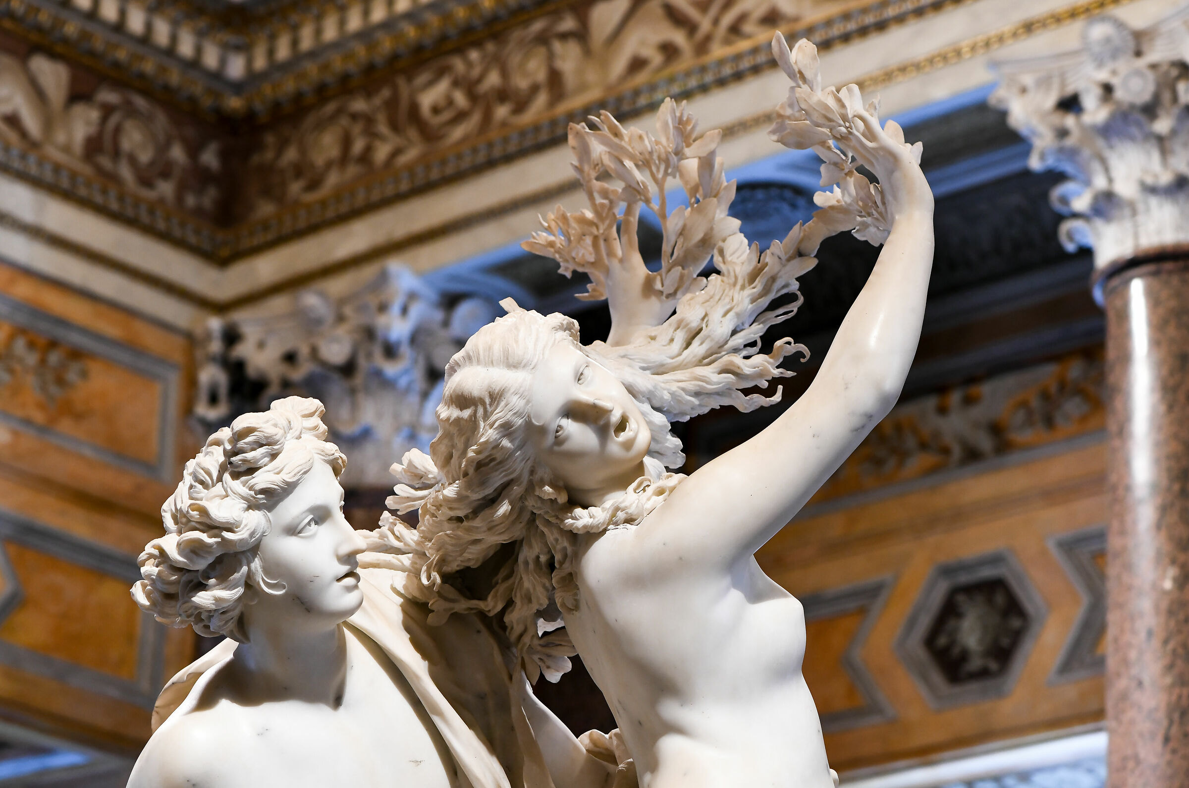 Galleria Borghese-Bernini,"Apollo e Dafne",particolare...