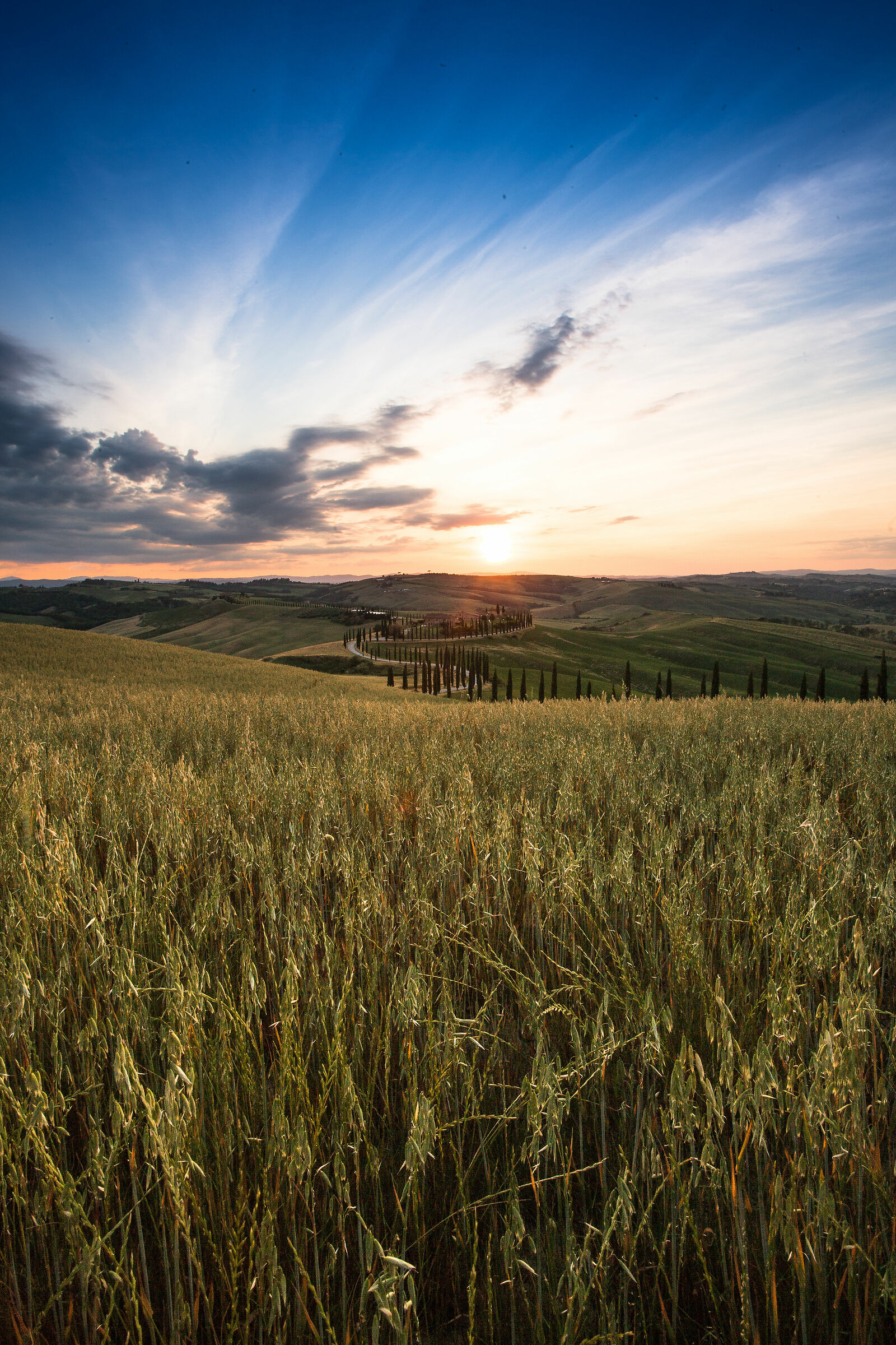 Sunset in the Siena countryside...