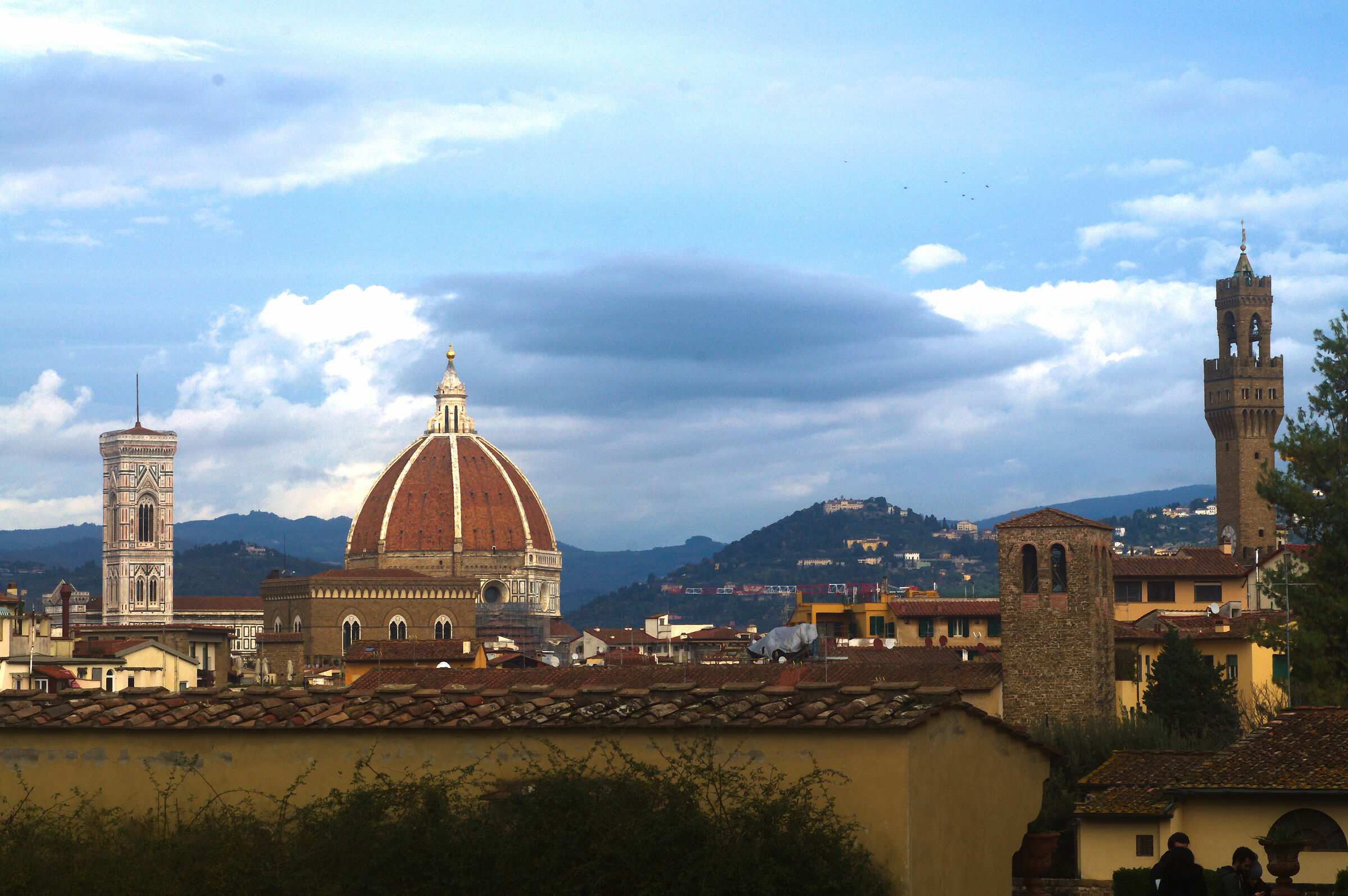 Florentine skyline...