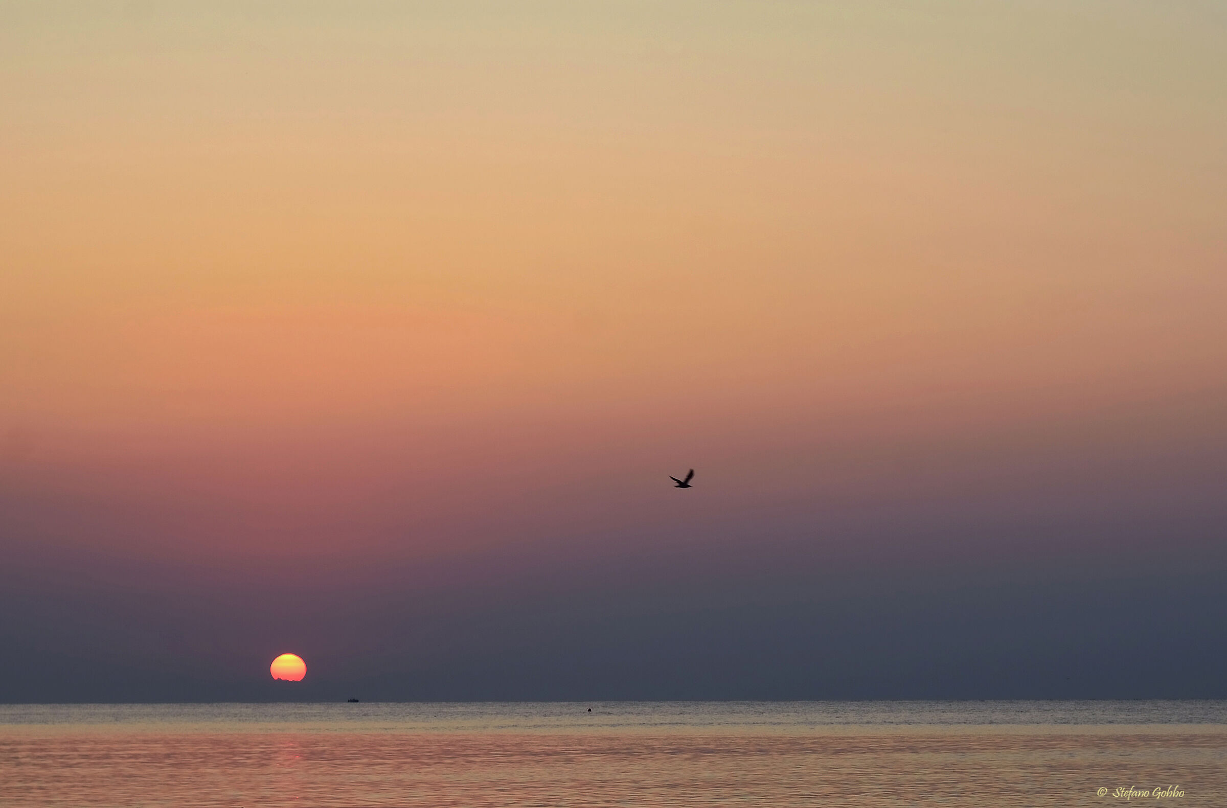 Sunrise with canoe and seagull...