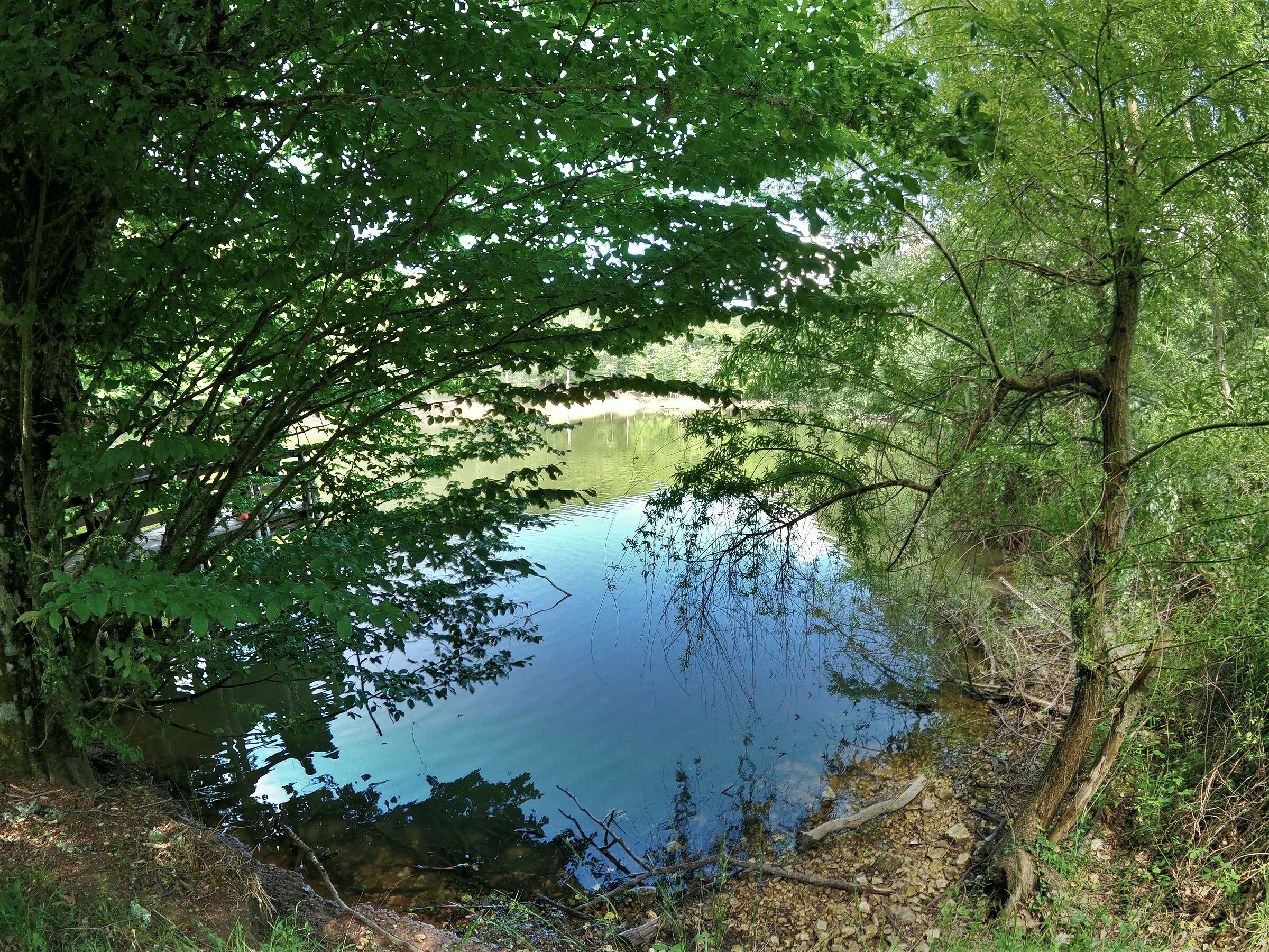 Umbrian Forest pond...