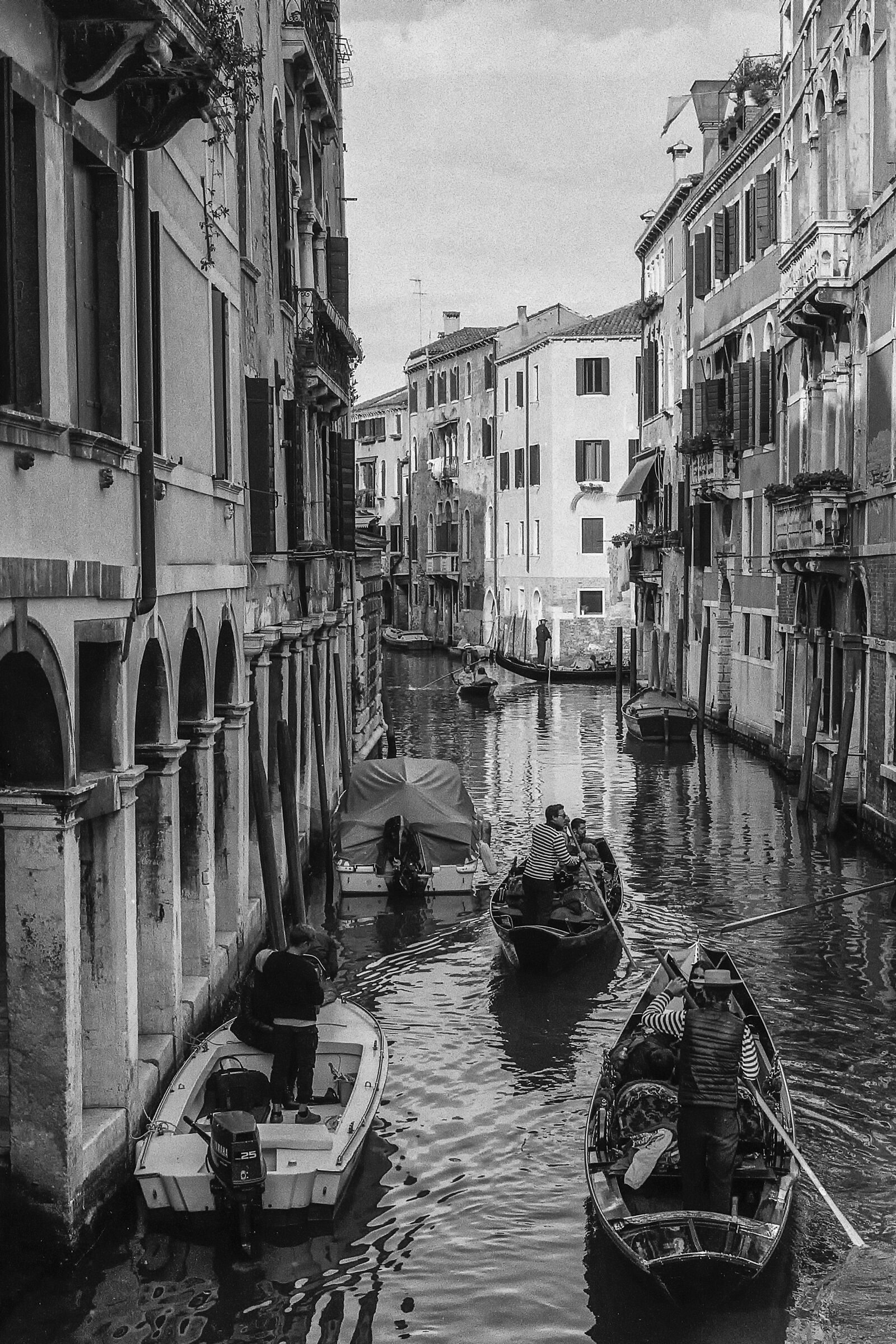 Cartolina da Venezia...