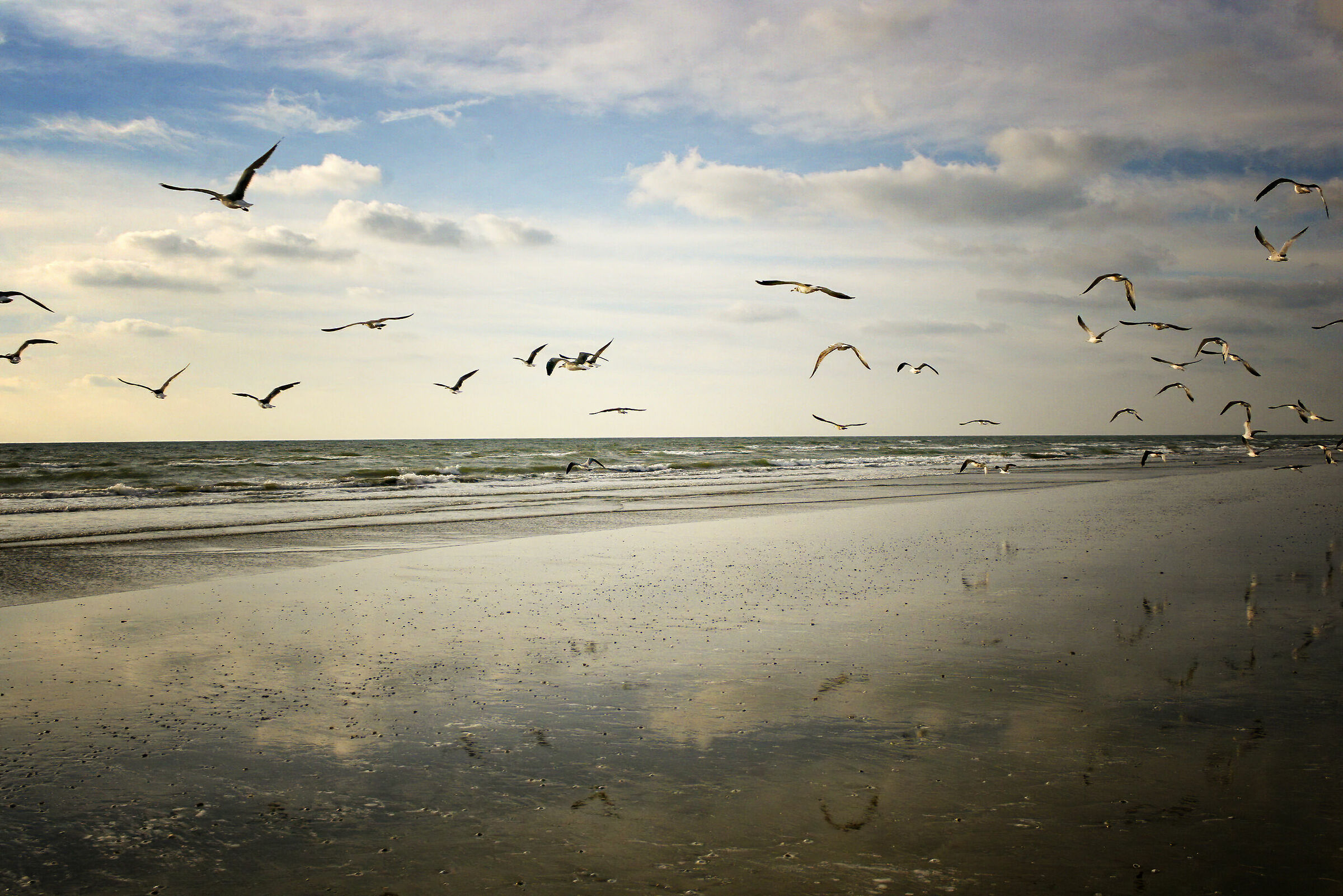 Photo taken... on the fly ...