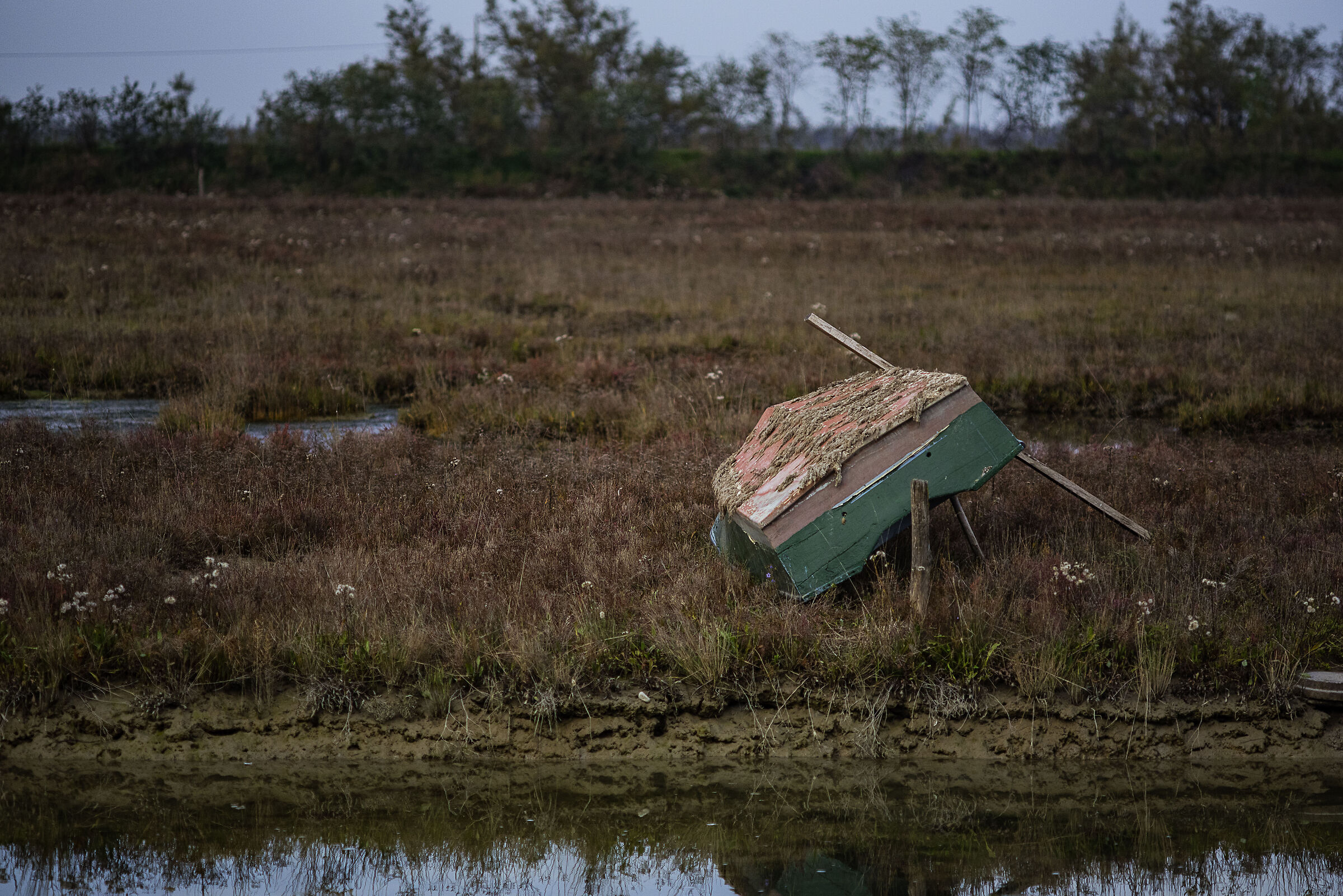 Abandoned boat among the salicornies...