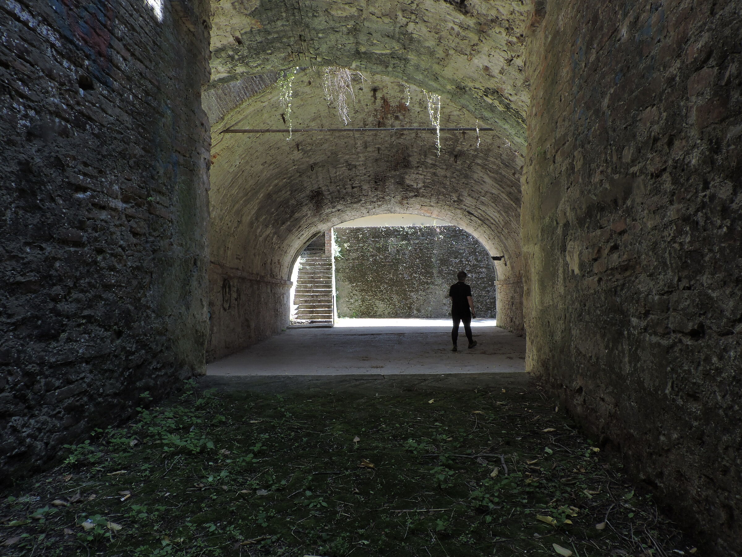 under the walls of lucca...