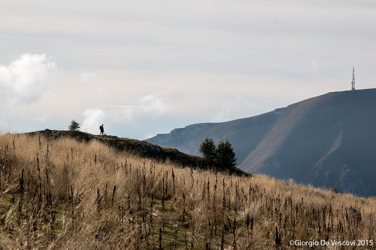 Untitled Photo...